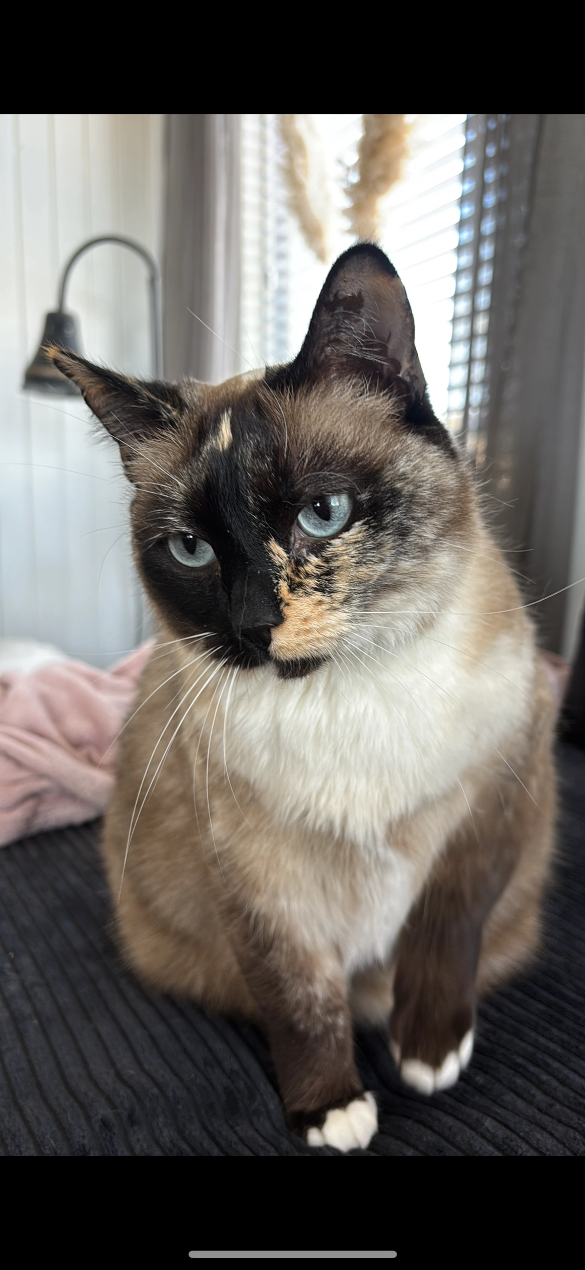 Beppie - Kadal, St.-Jacobiparochie