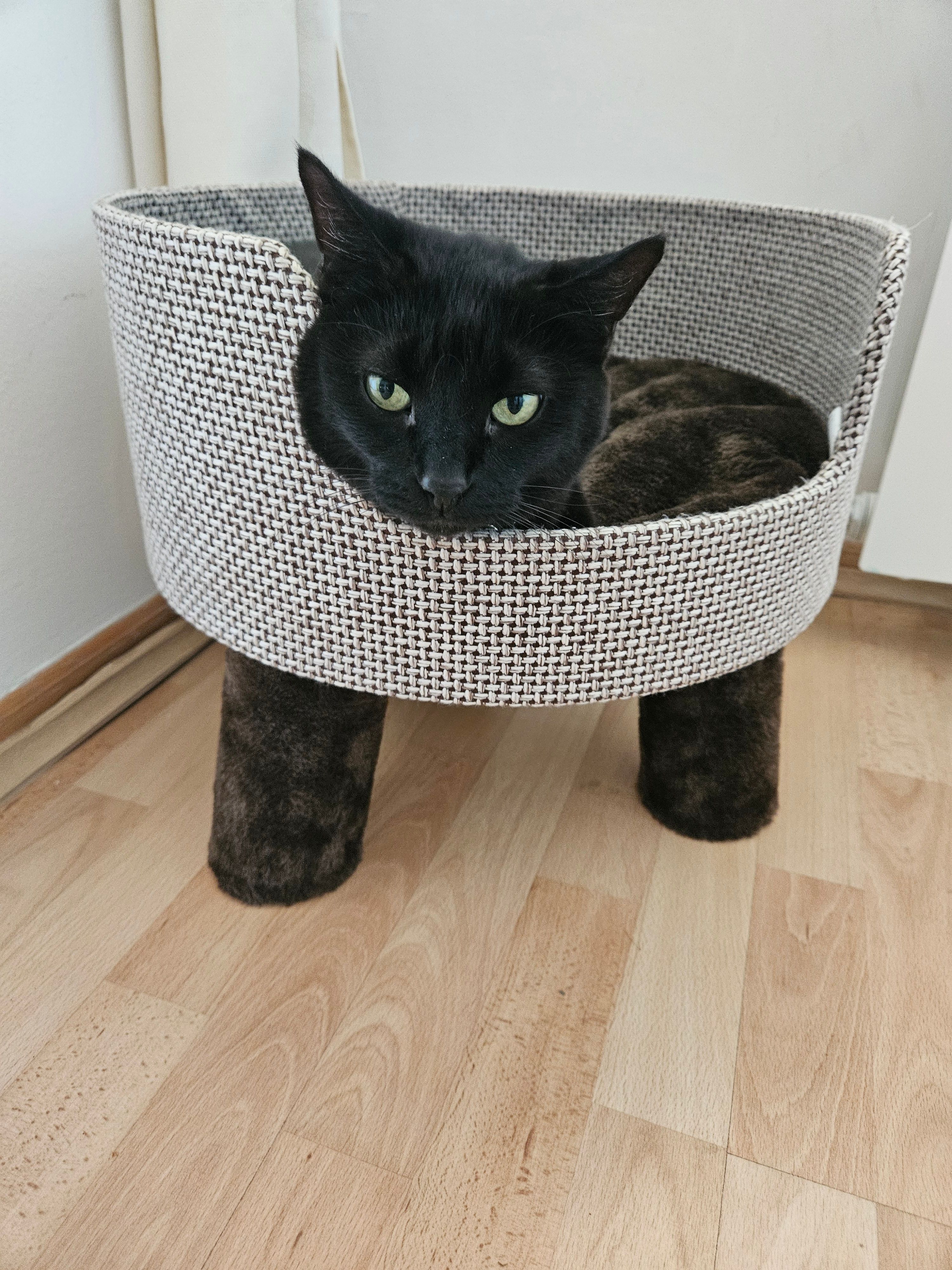 Mayday  - Ромена Ролана, Belgrade