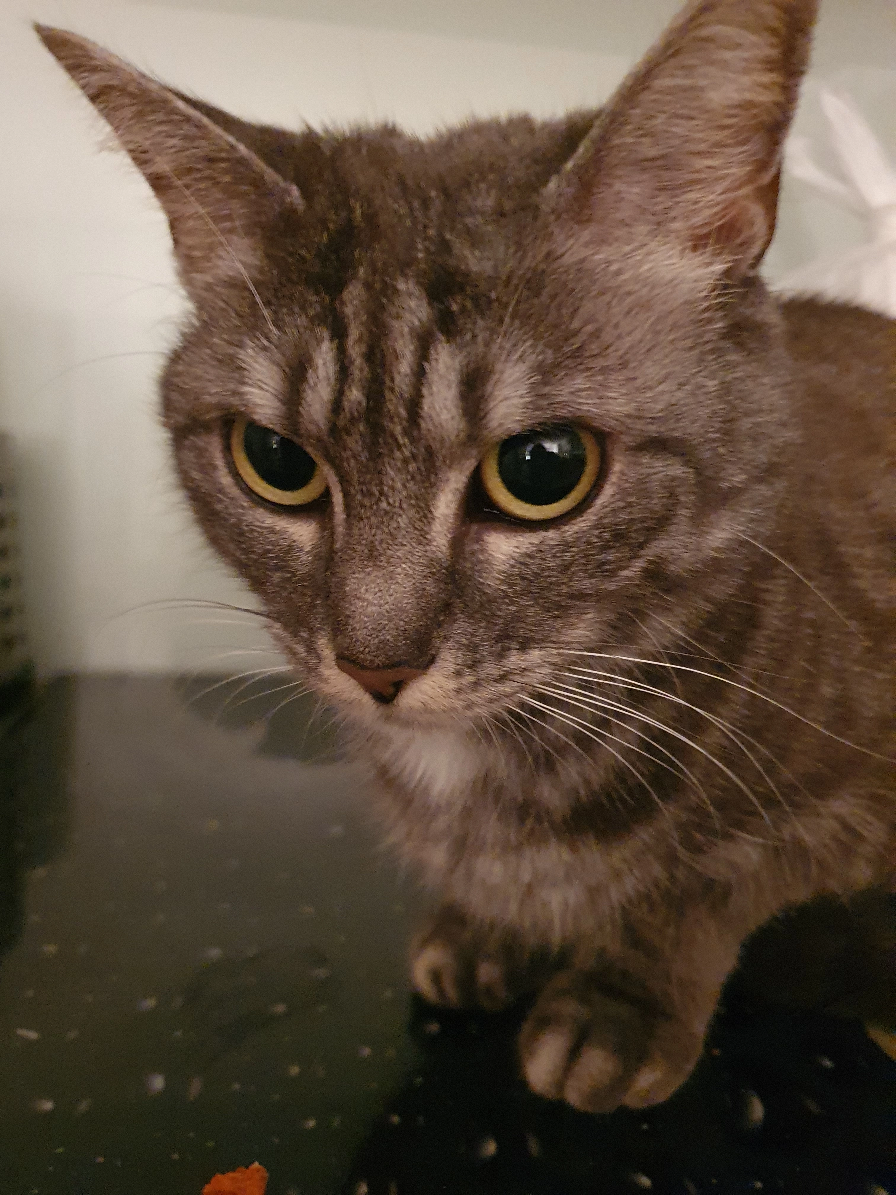 Luna - Steinweggasse, Leinburg