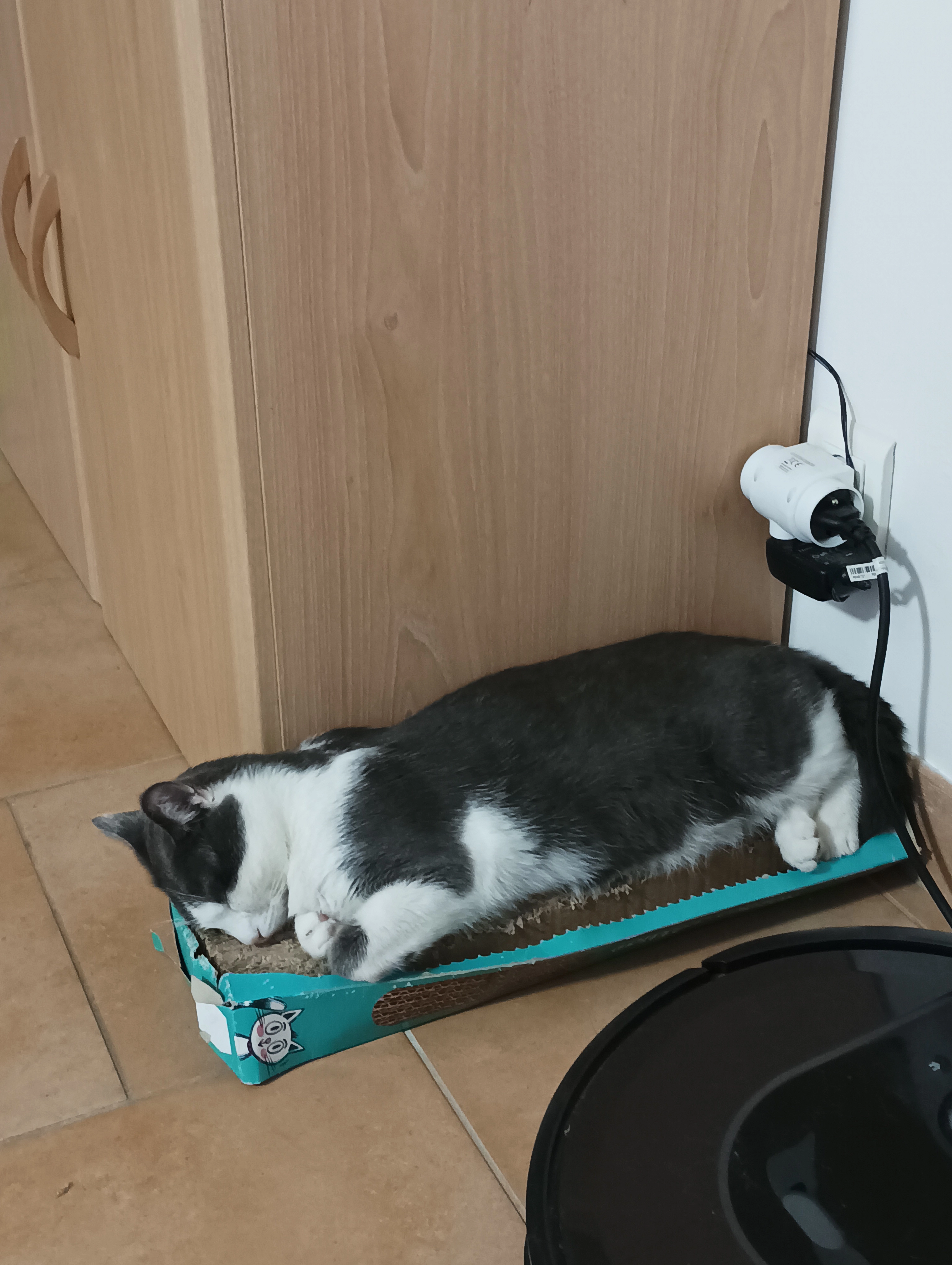 Léon  - Avenue Monseigneur de l'Angle, Castelnaudary