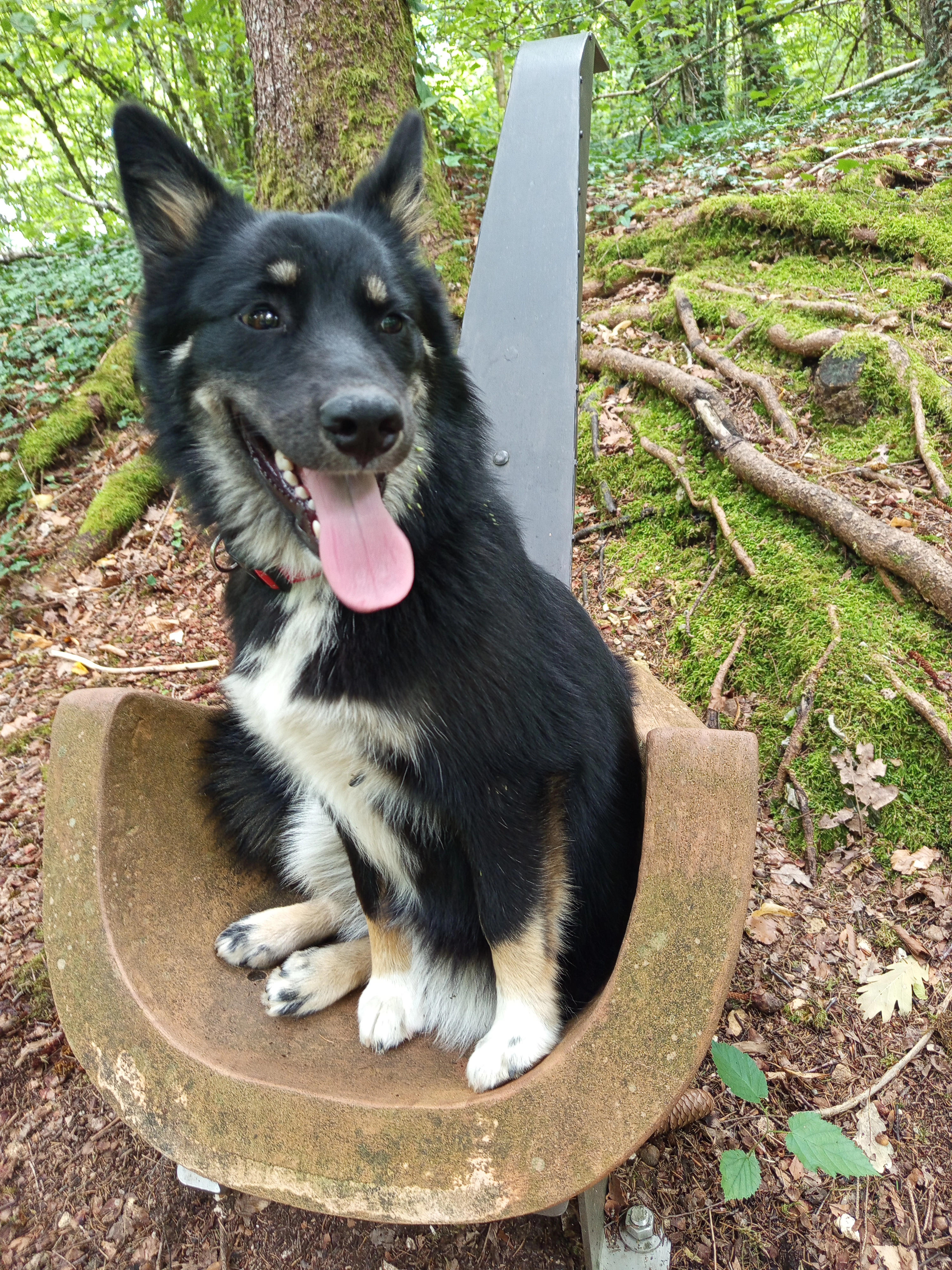 Vaya - Chemin de Charlemagne, Ladoix-Serrigny