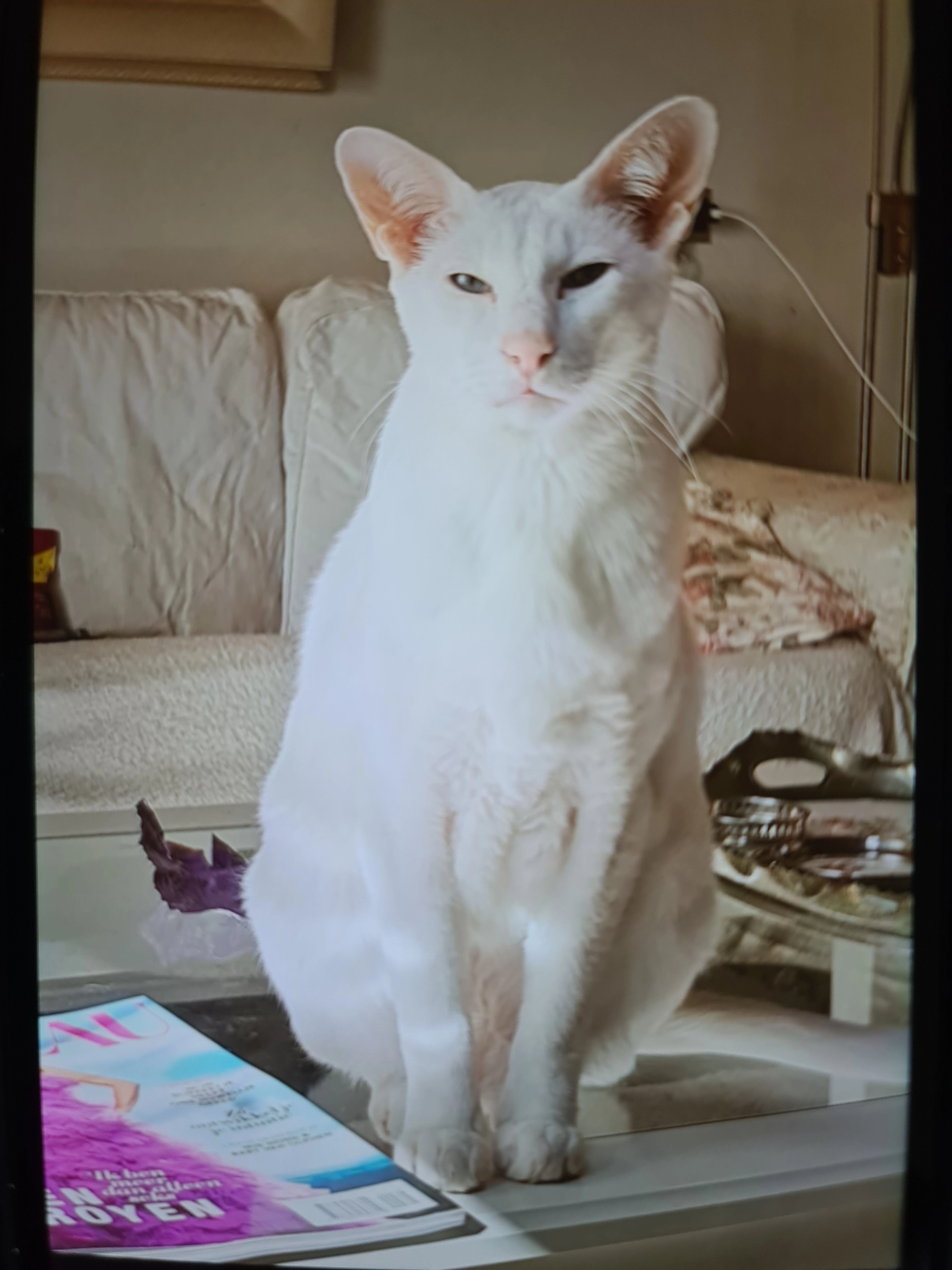 Koko - Noorderweg, Nieuweroord