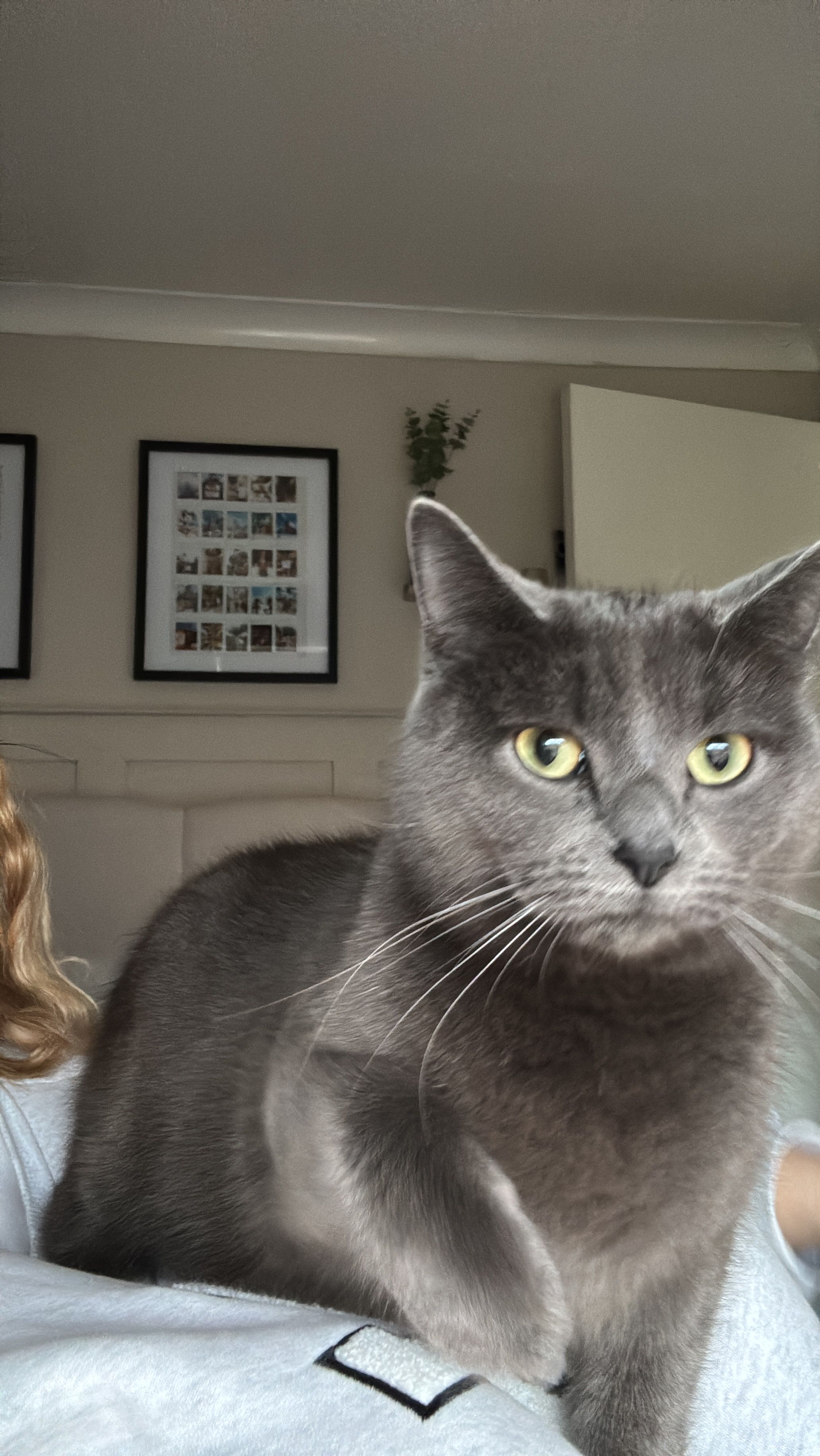 Luna - Kirkstall Close, Eastbourne