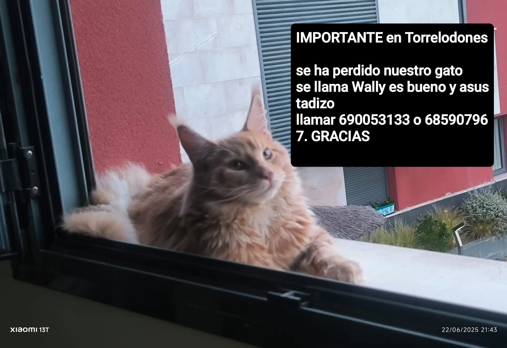 Wally - Calle Rufino Torres, Torrelodones