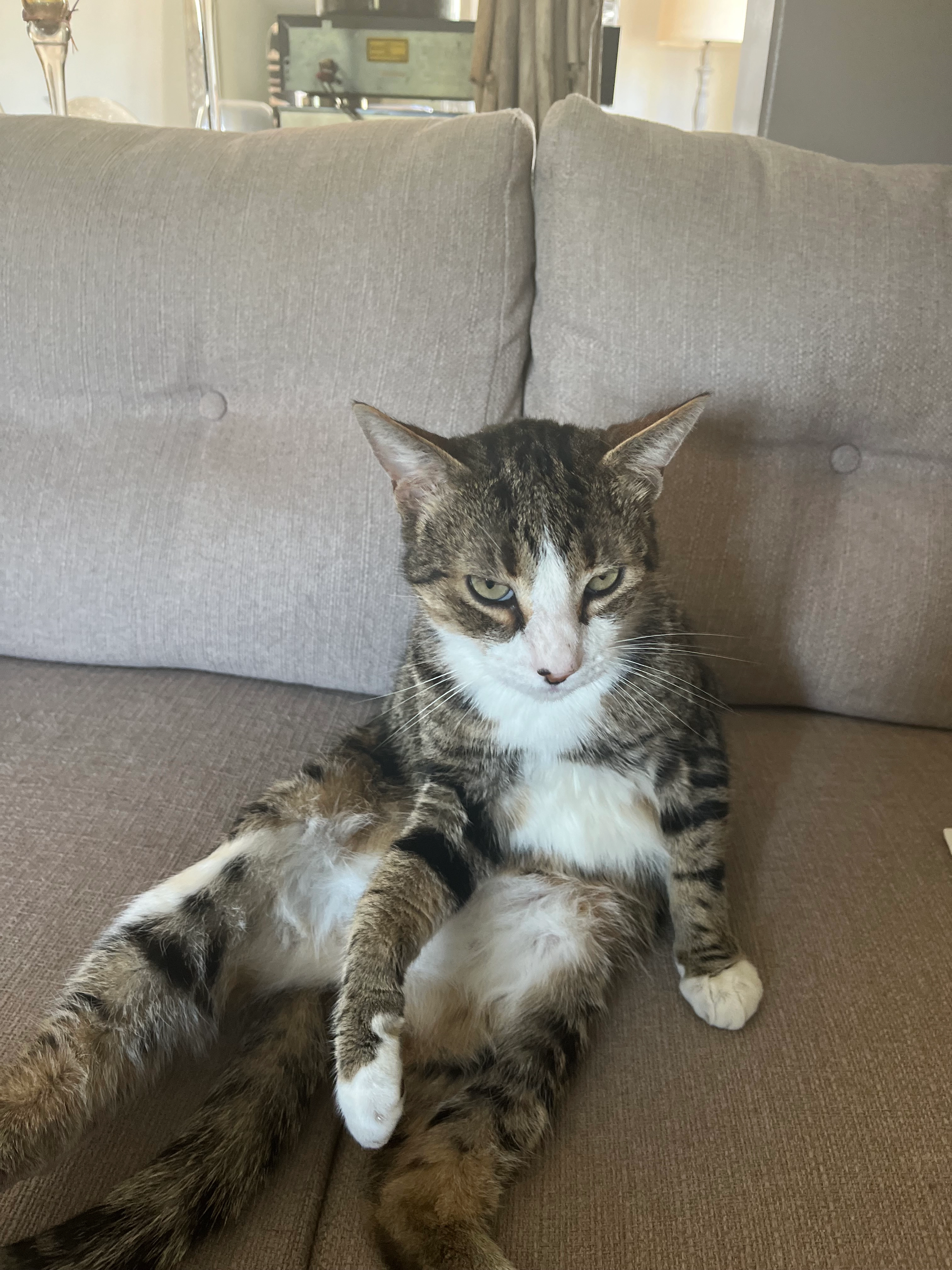 O’maled - 1 Avenue de la Liberté, Colombelles