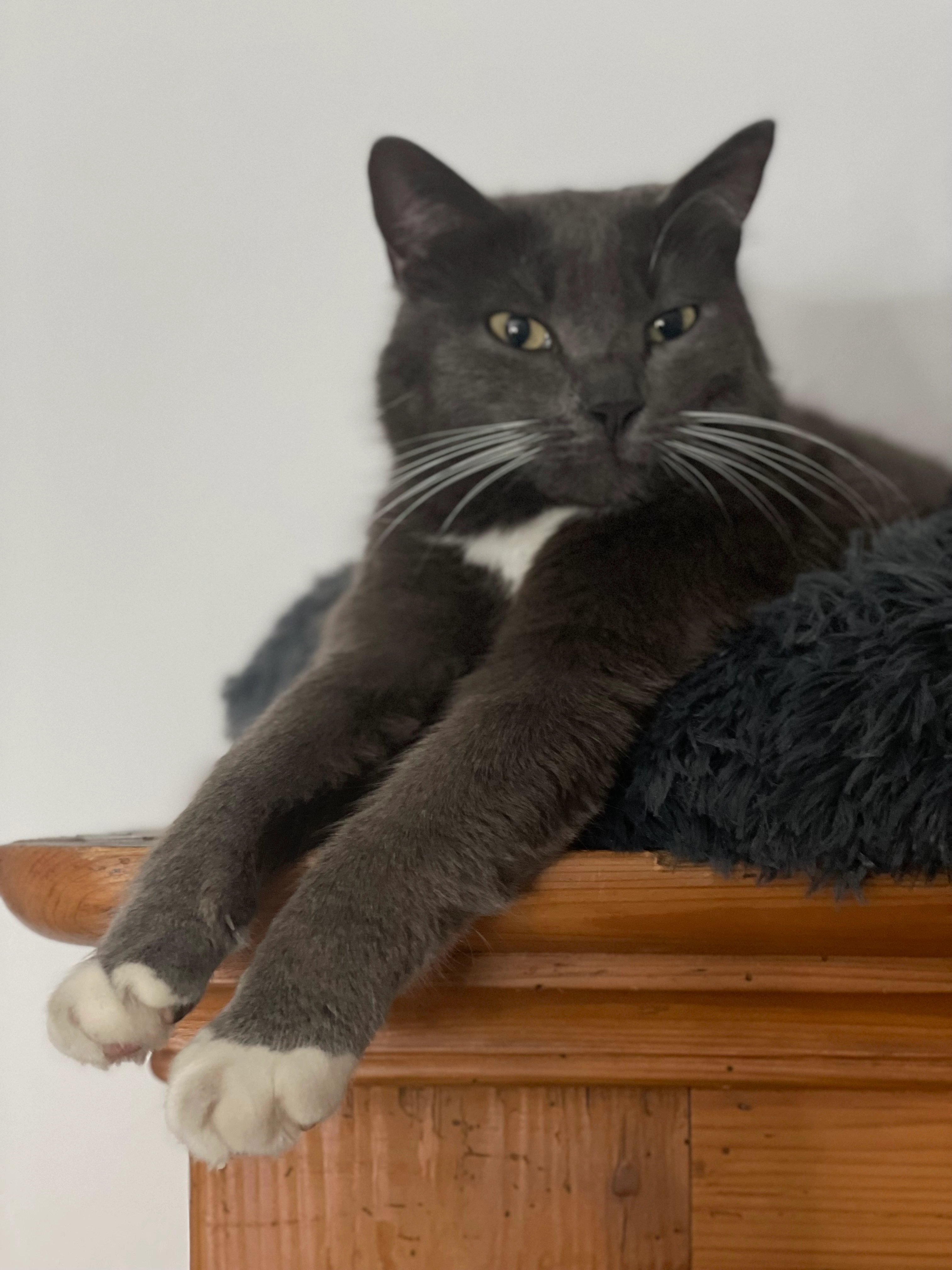 Karima - Lindenstraße, Rottweil