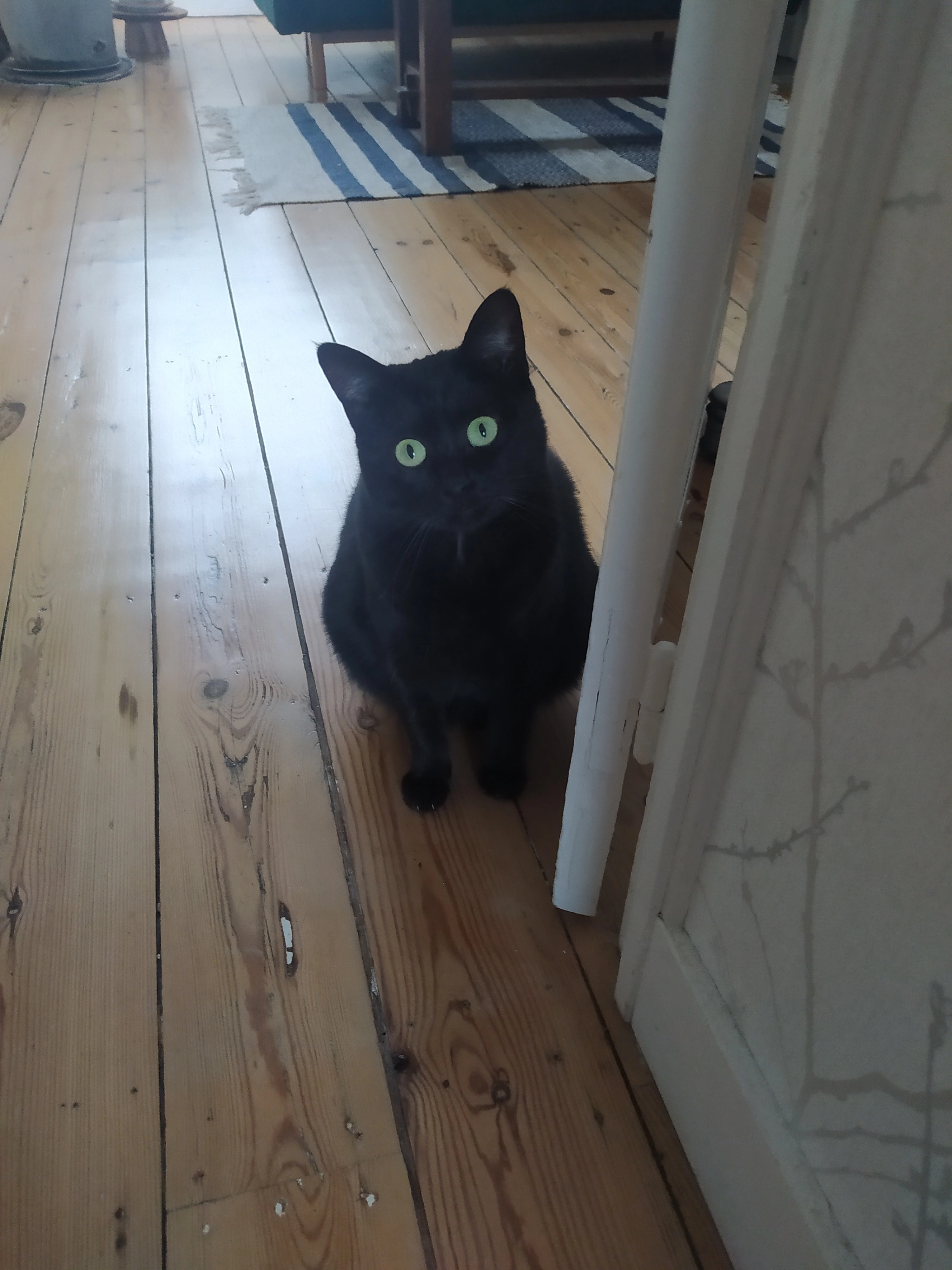 Coco - Avenue de Lattre de Tassigny, La Roche-sur-Yon