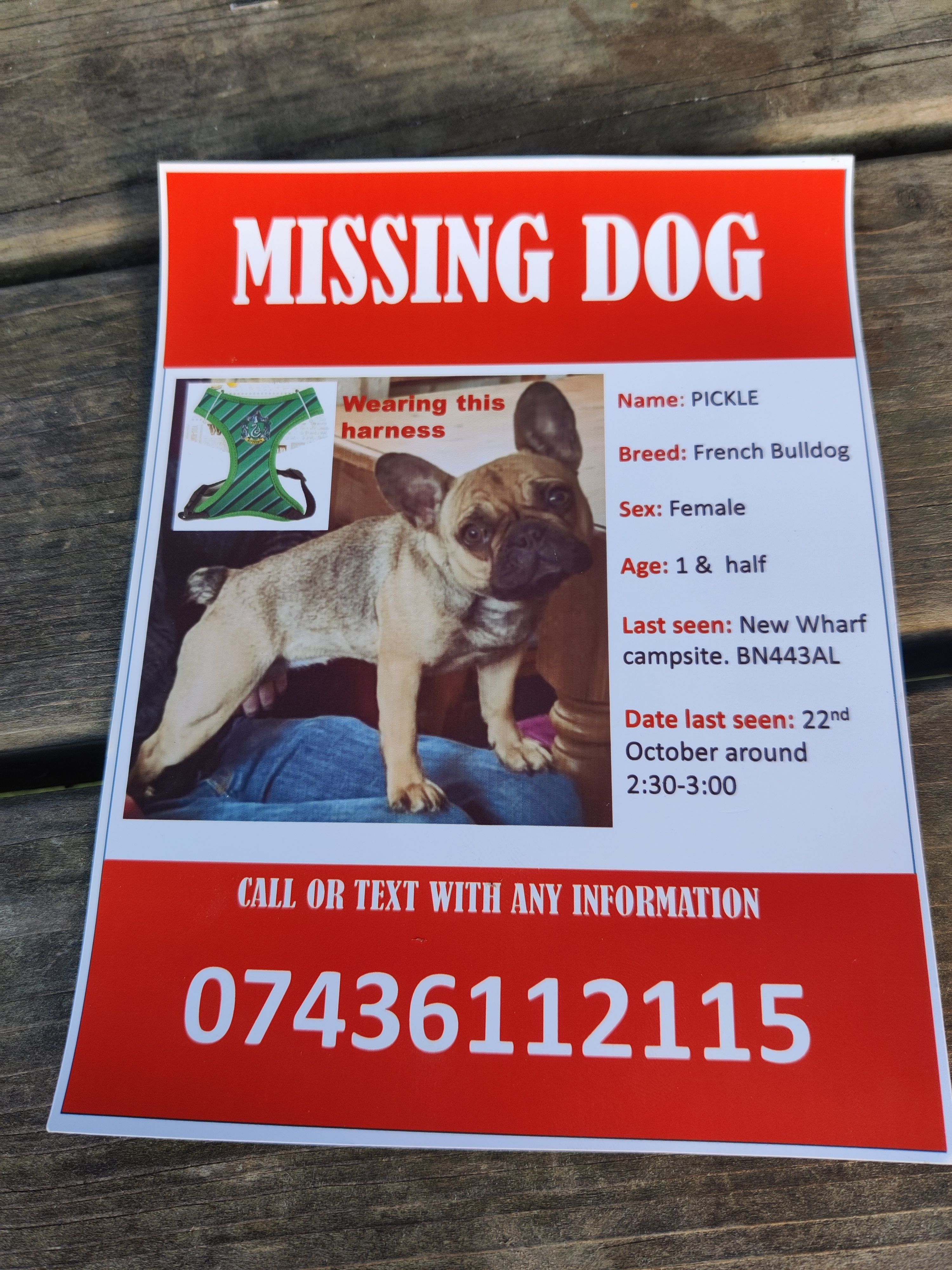 Pickle - Horsham Road, Steyning