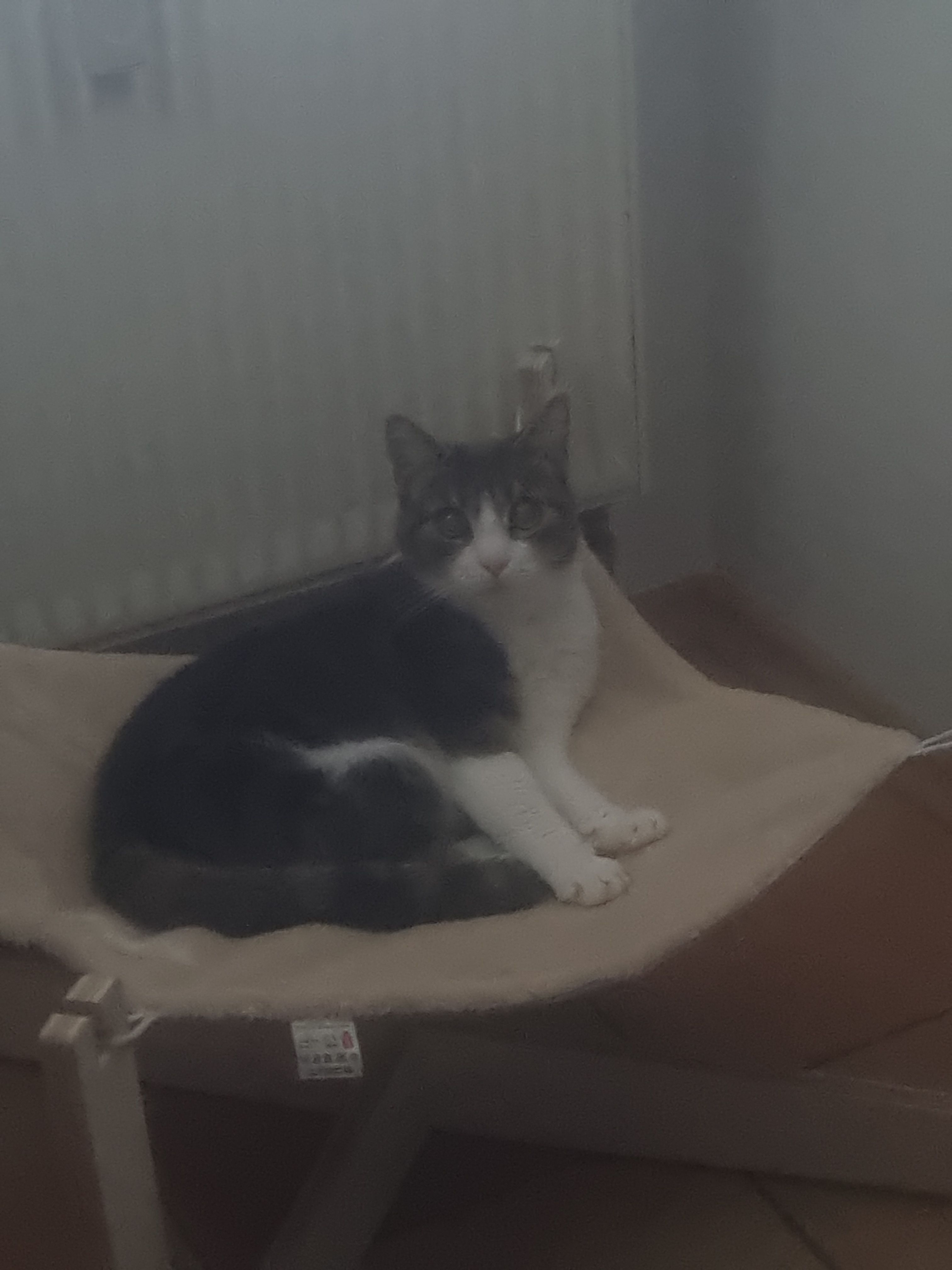 Susi - Ansbacher Straße, Burgoberbach