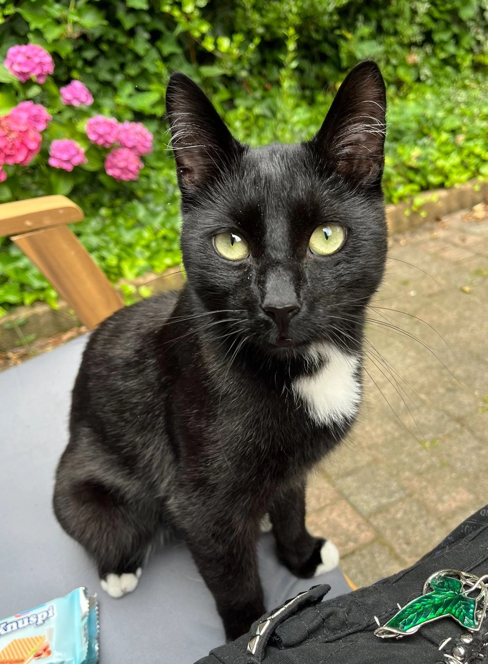 Vortex - Rolderbrink, Emmen