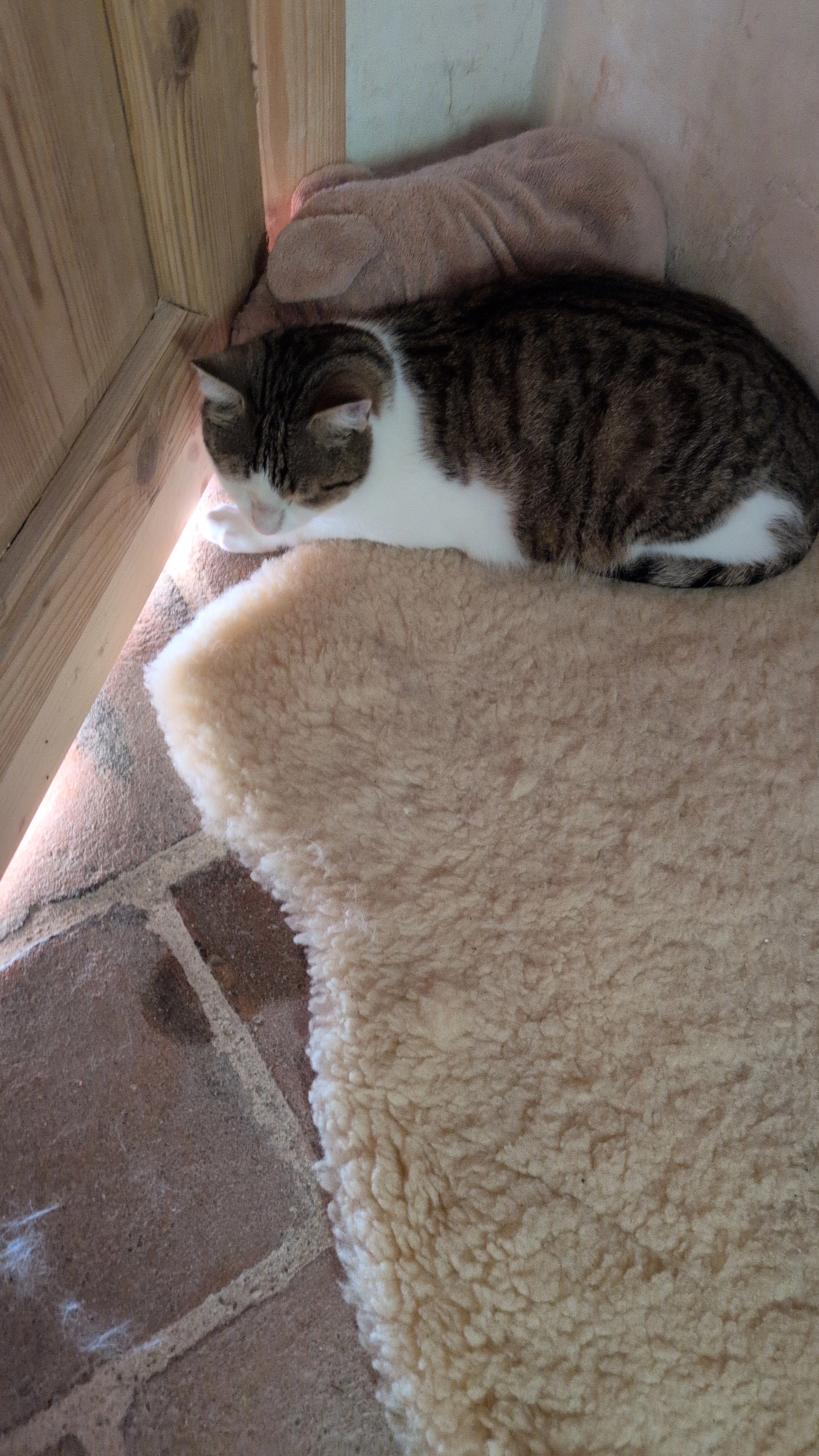 Stani  - Ferdinand-Maglock-Weg, Straß im Straßertale