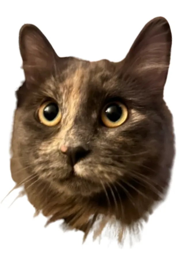 Princess - S 48th Way, Phoenix