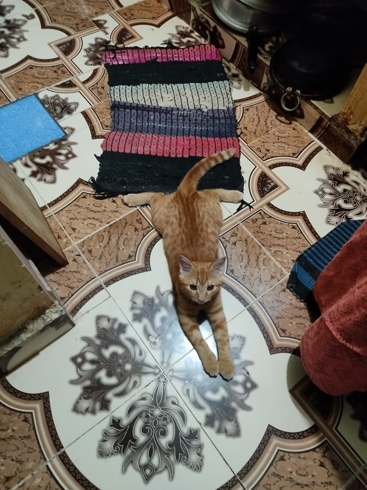 Nailah - Balakrishna Street Extension, Chennai