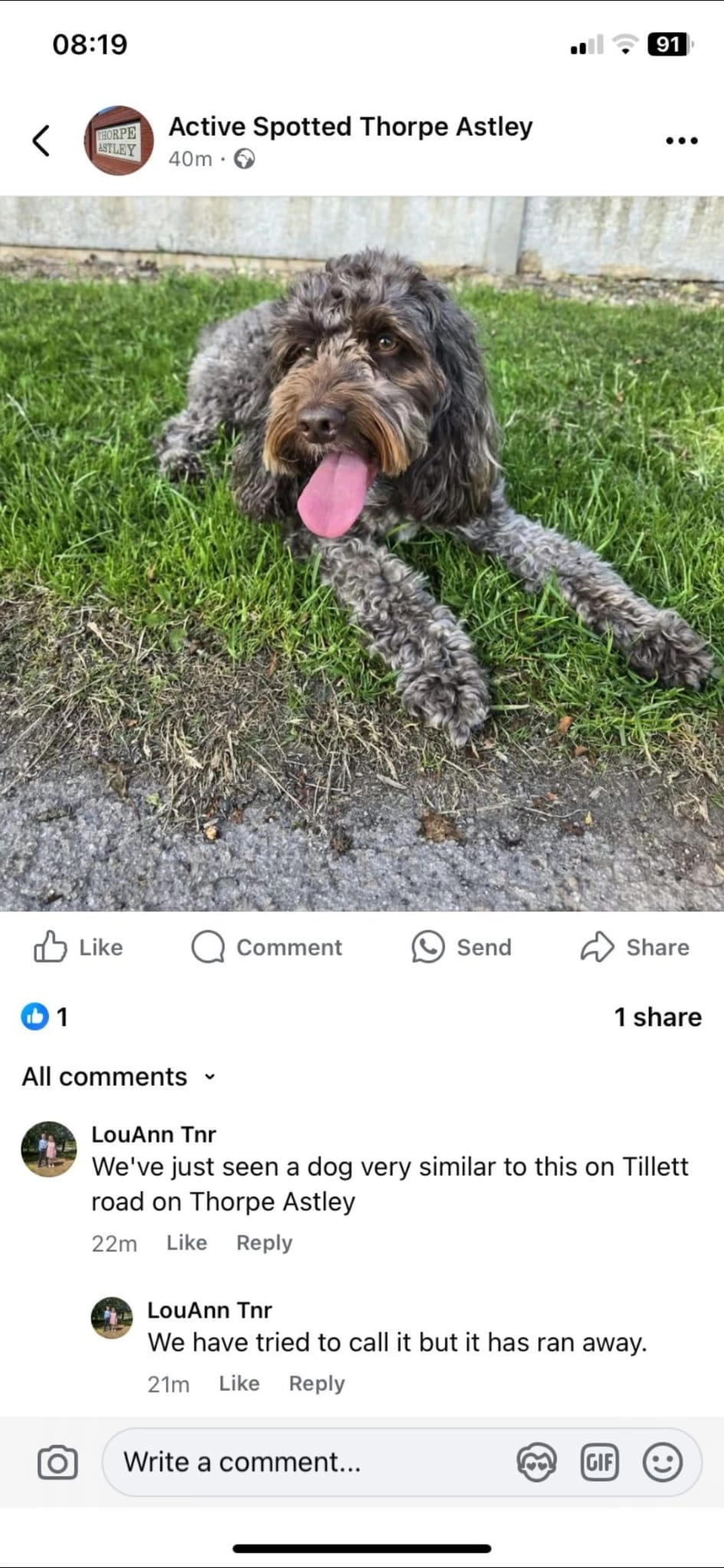 Margot - Tillett Road, Leicester