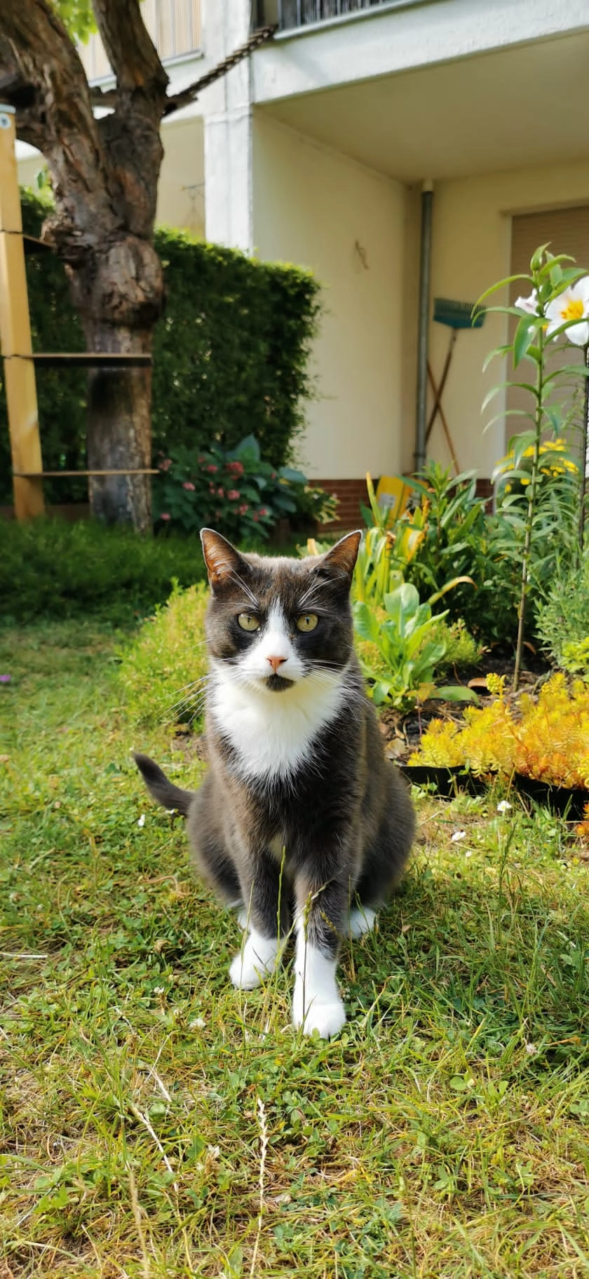 Ronja  - Fontanepark, Schwielowsee