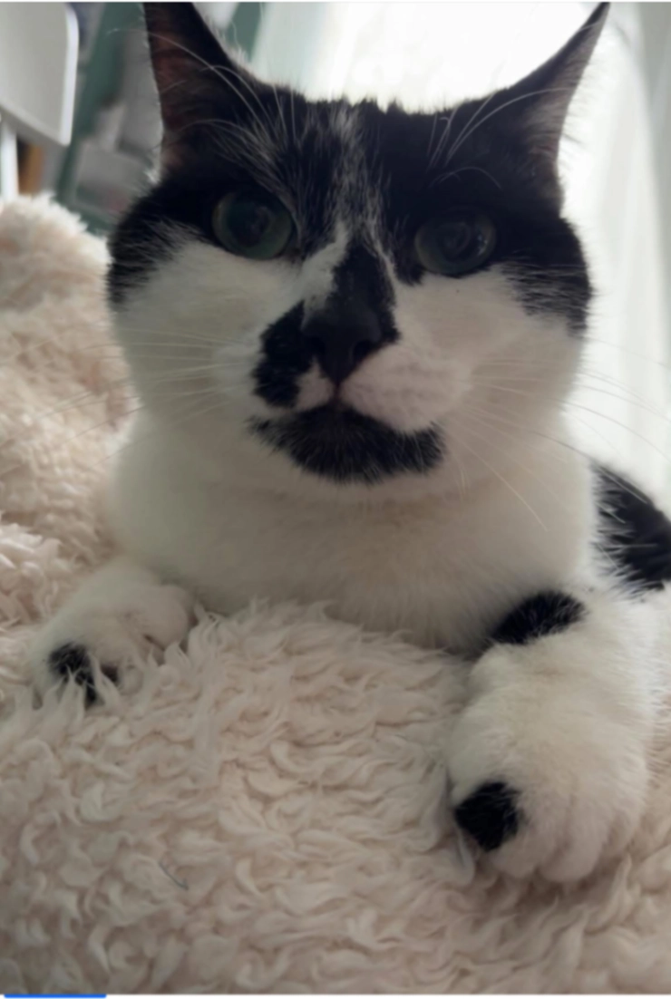 Princess - Jenkin Drive, Sheffield