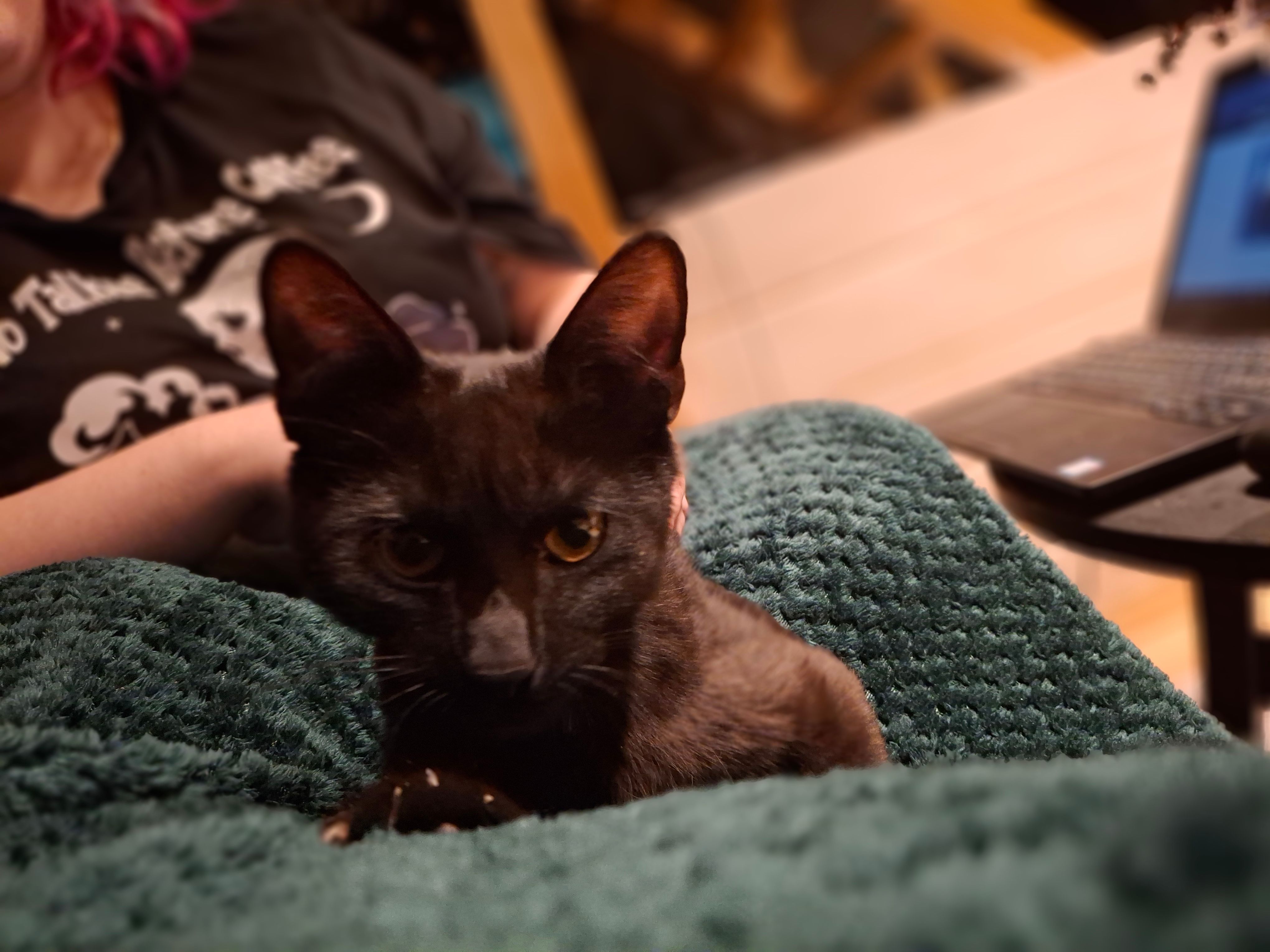 Salem - Zichy Mihály Utca, Budapest