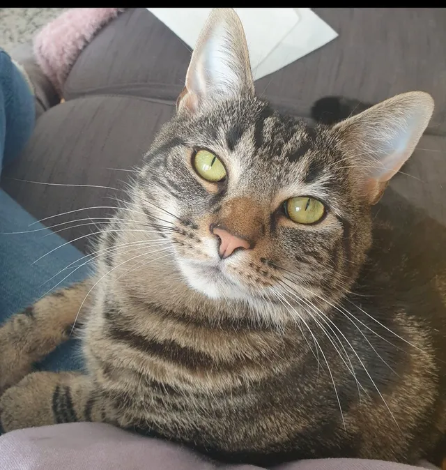Frank - NE3 2, Newcastle Upon Tyne
