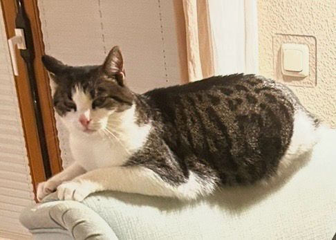 Fips - Dorfstraße 36, Fargau-Pratjau