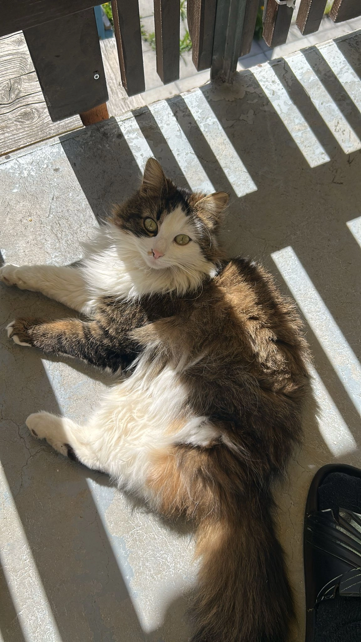 Myra - Riegenenstrasse, Langnau im Emmental