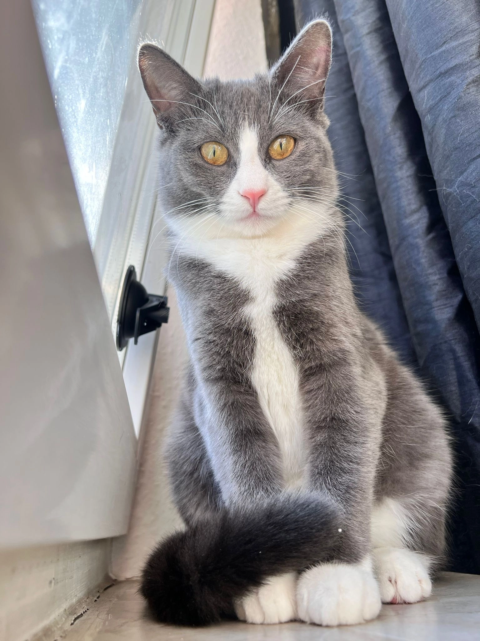 Lucy - Meinlohstraße, Ulm