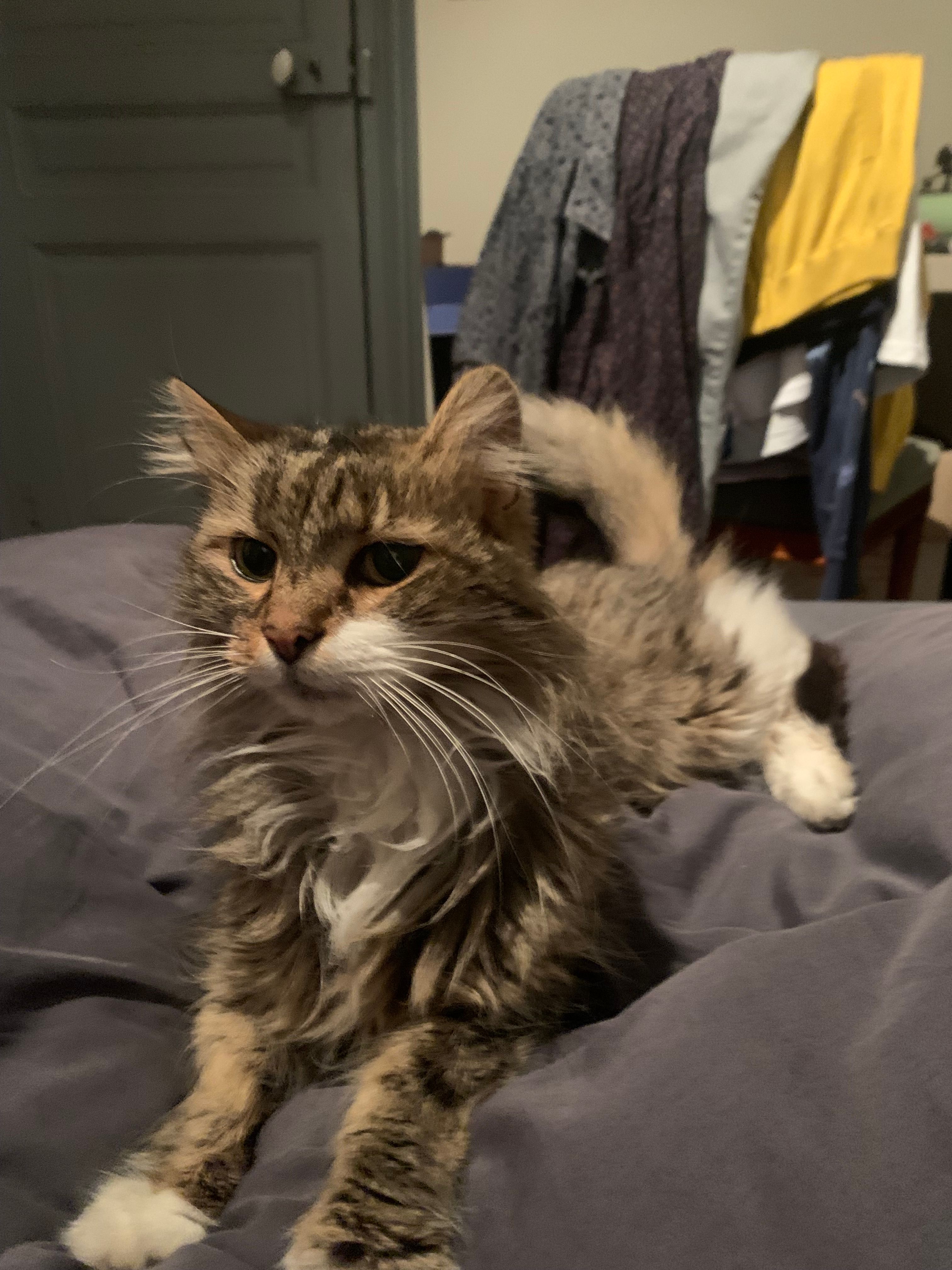 Kiwi - Avenue Du Président Kennedy, Neufchâteau