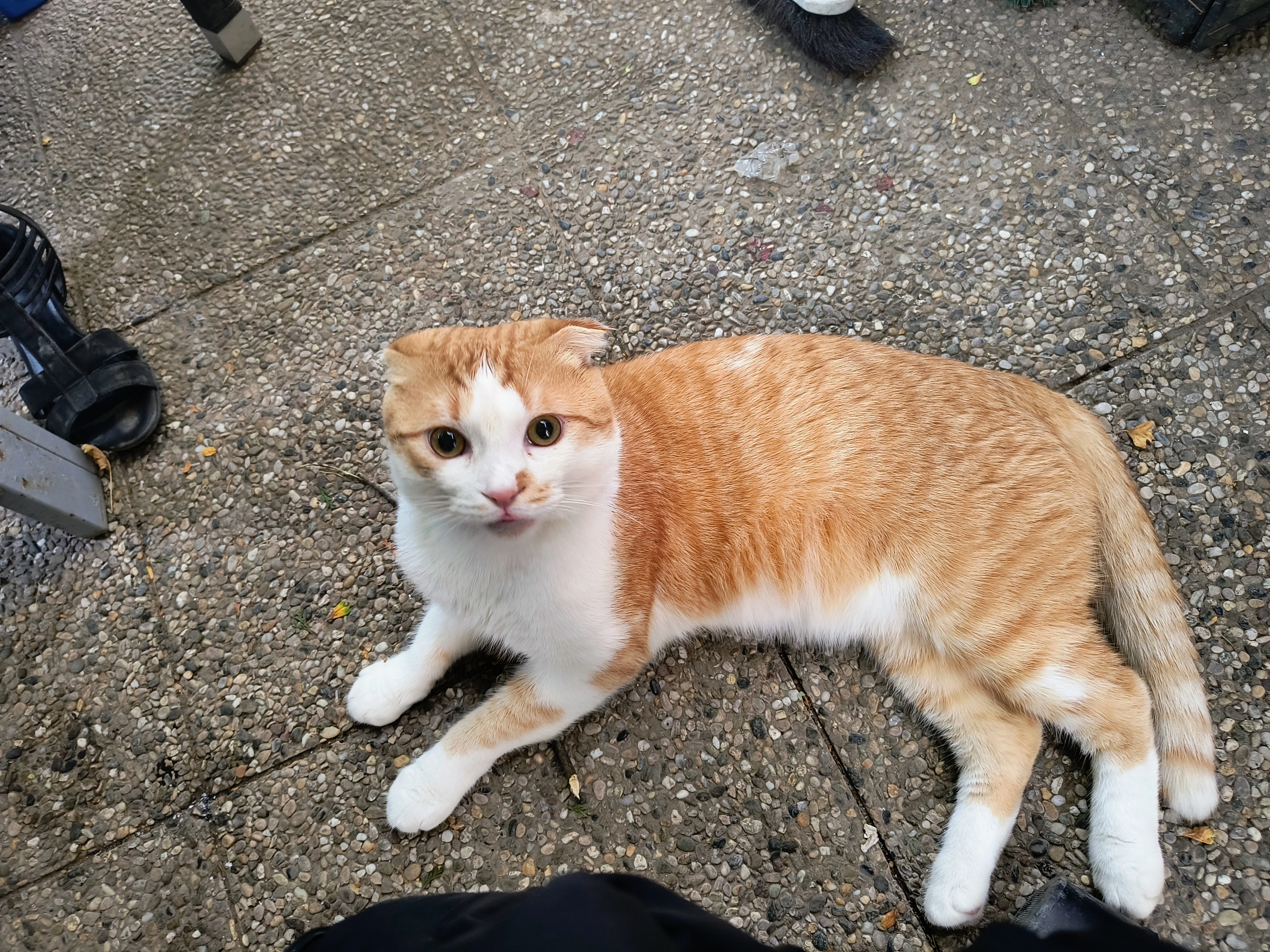 Simba - Egilostraße, Kirchseeon