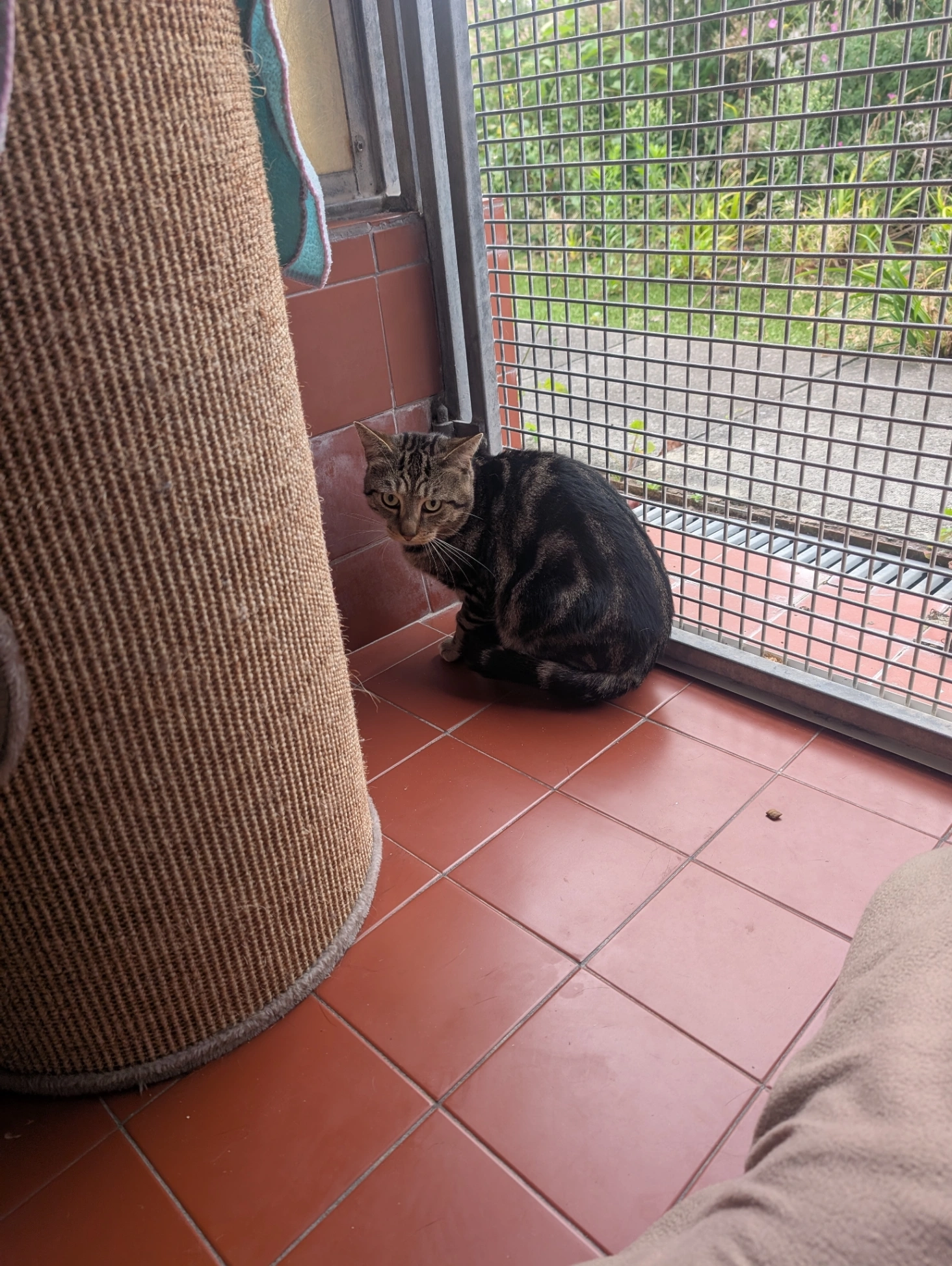 Billy - Dentwood Street, Liverpool