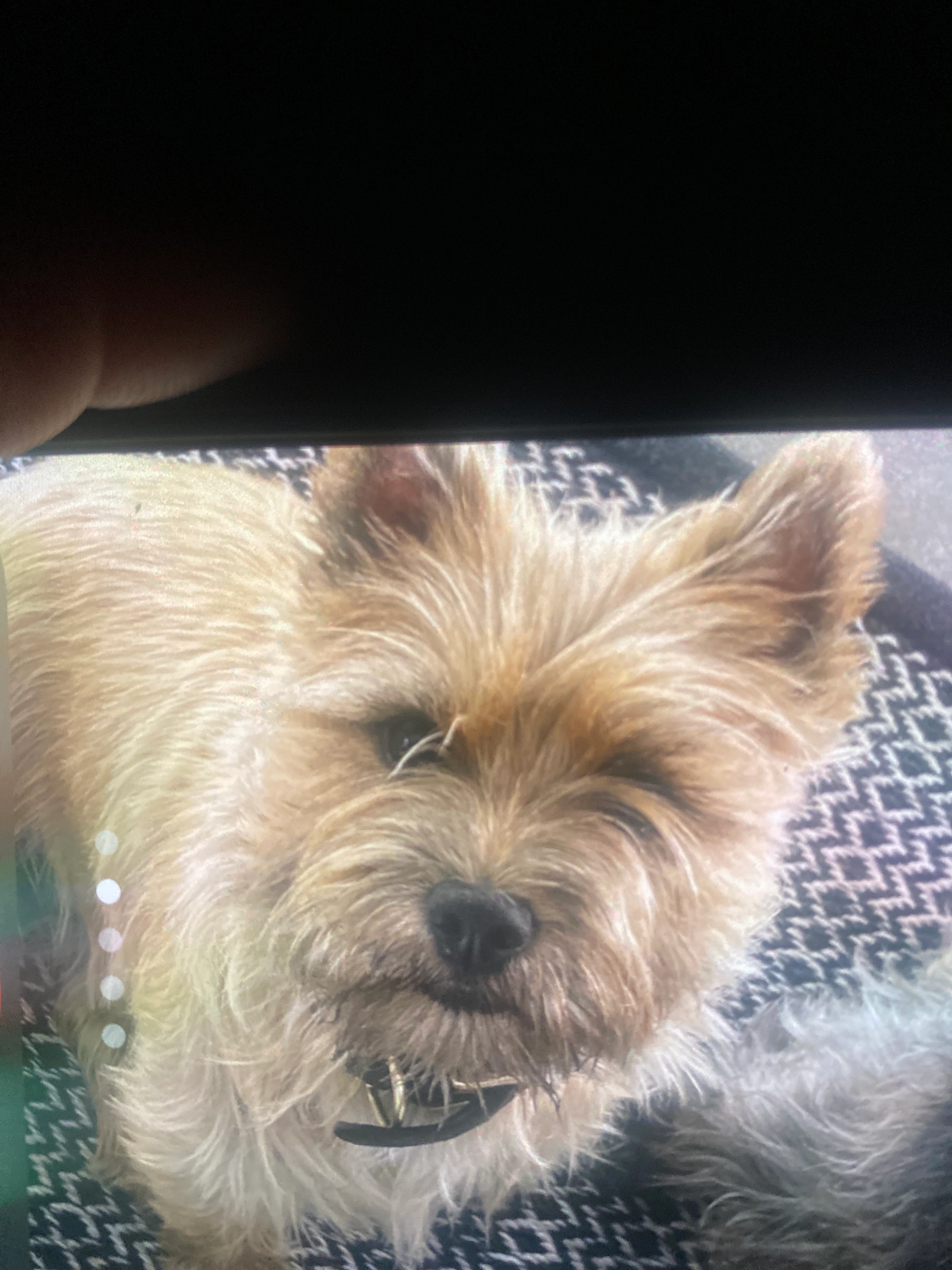 Billy - Moerstraat 9, Schilde