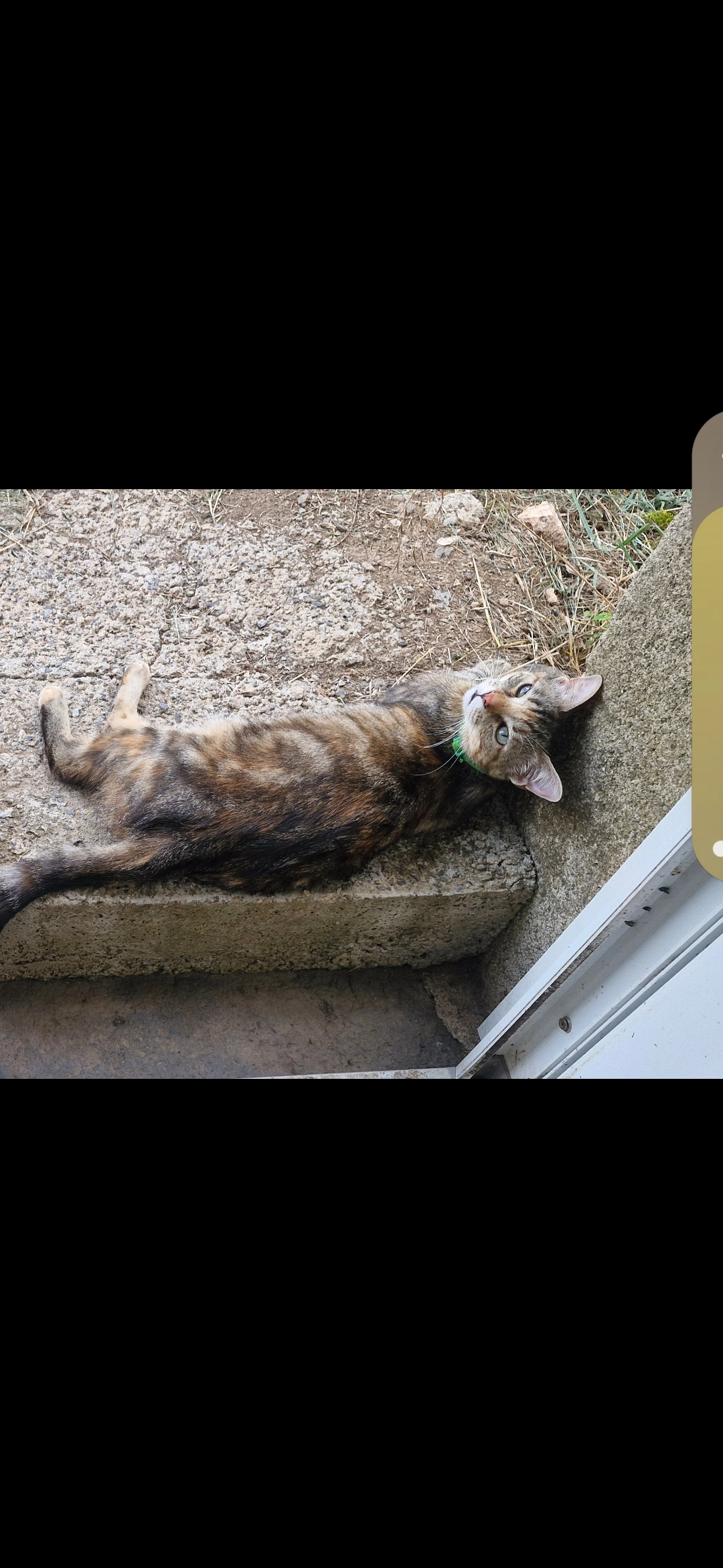 Taïka - Impasse des Citronniers, La Garde