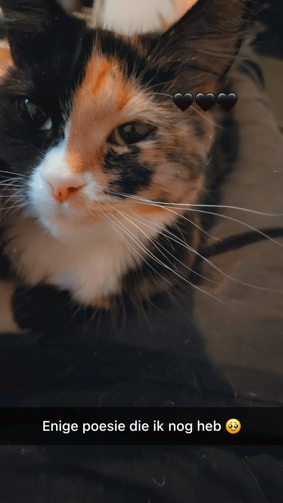 Coco - Noorderringweg, Marum