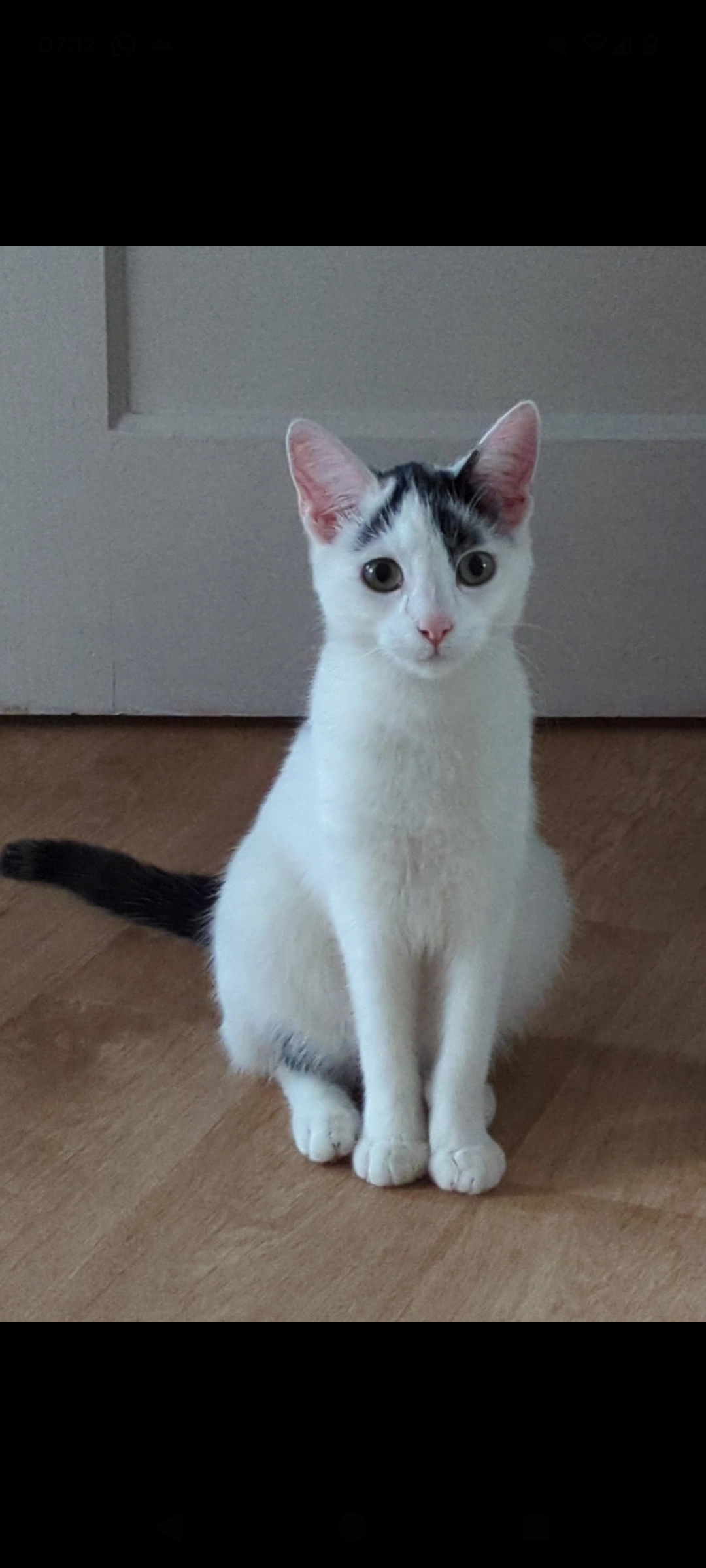 Yumi - Rue des Ropieurs 10, Mons