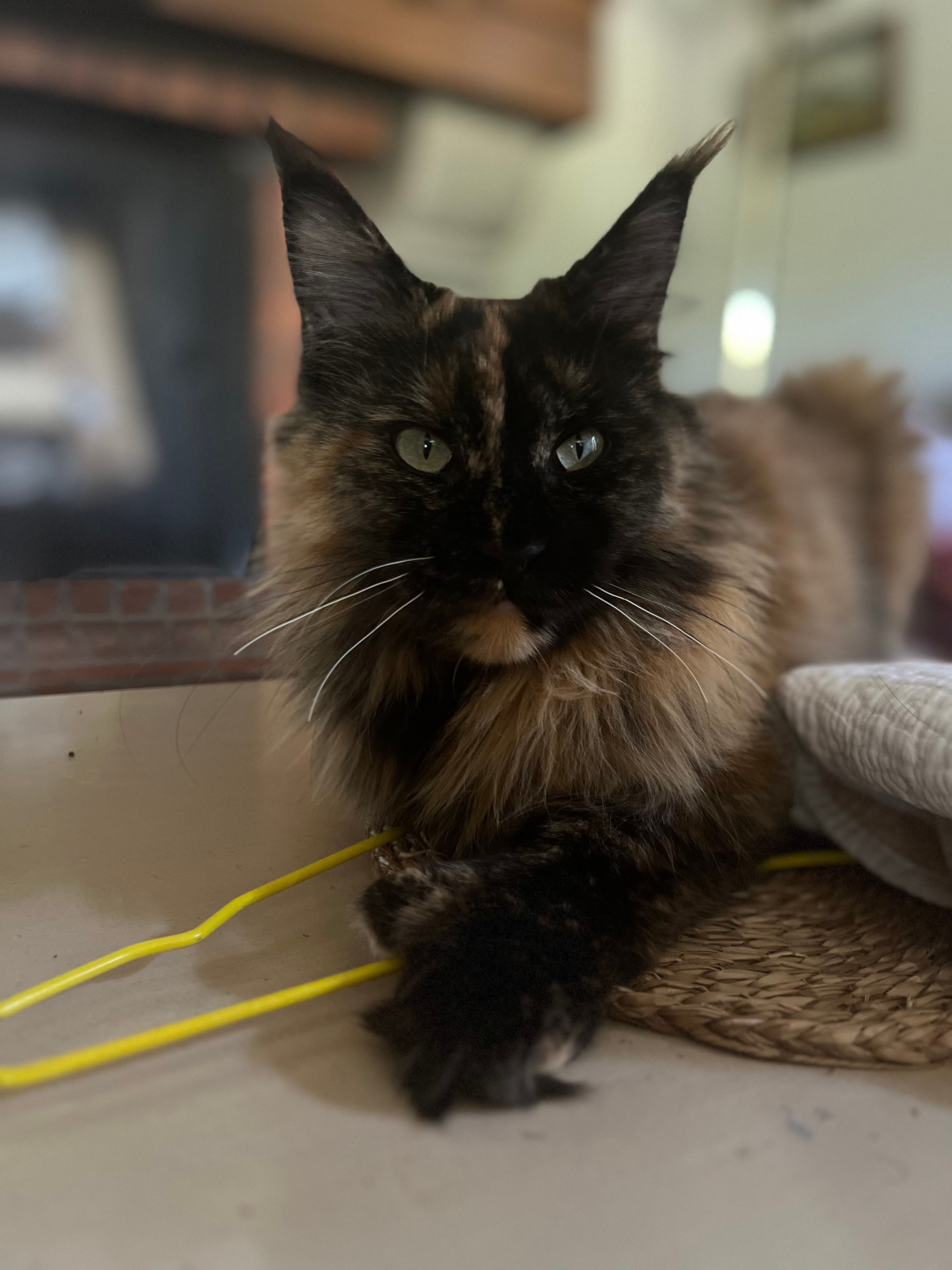 Utwo - 2B Rue de Cissard vendredi 30 août , Mirefleurs