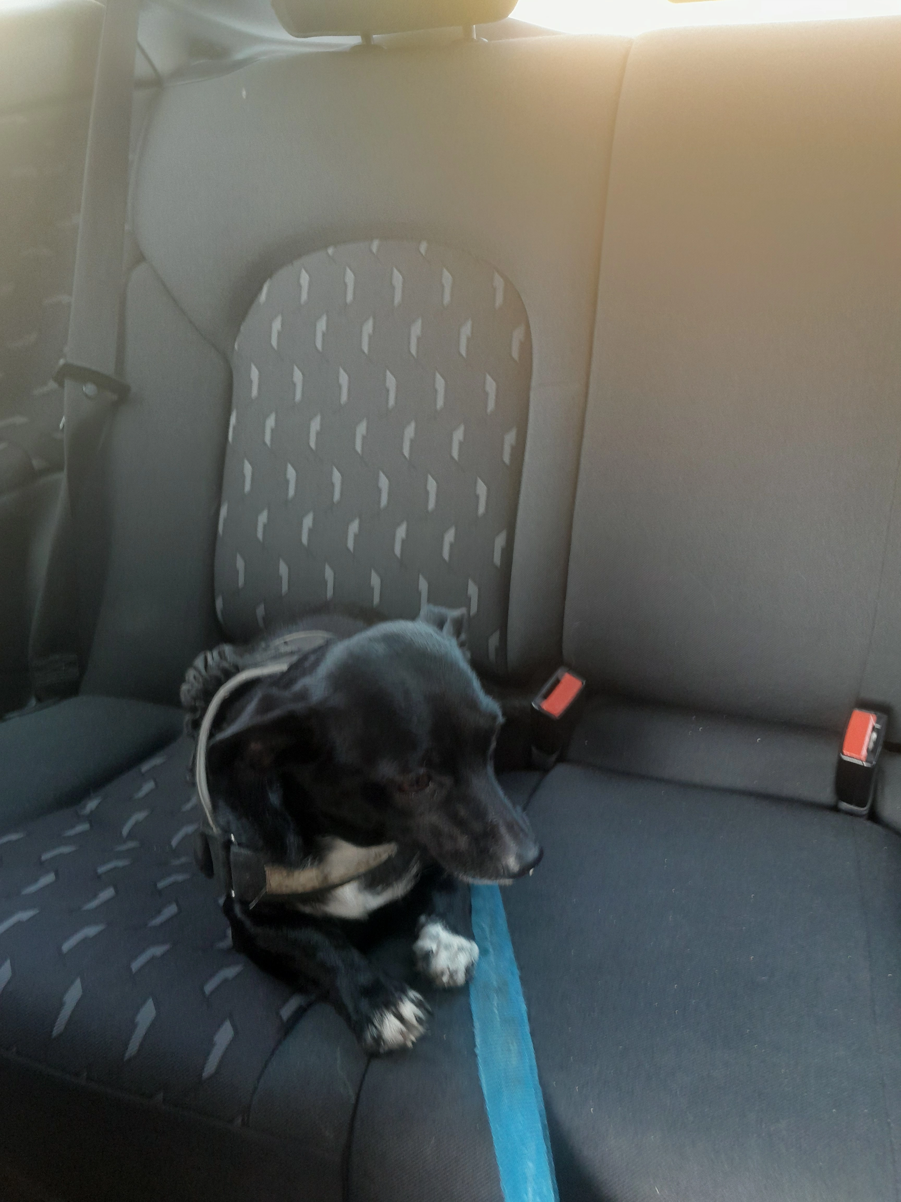 Candy - Avenue Pierre Mendès-France, Bron