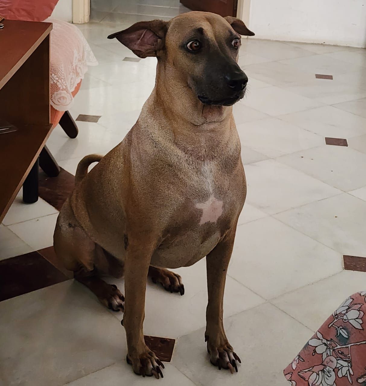 Ruby  - 10470, Penang