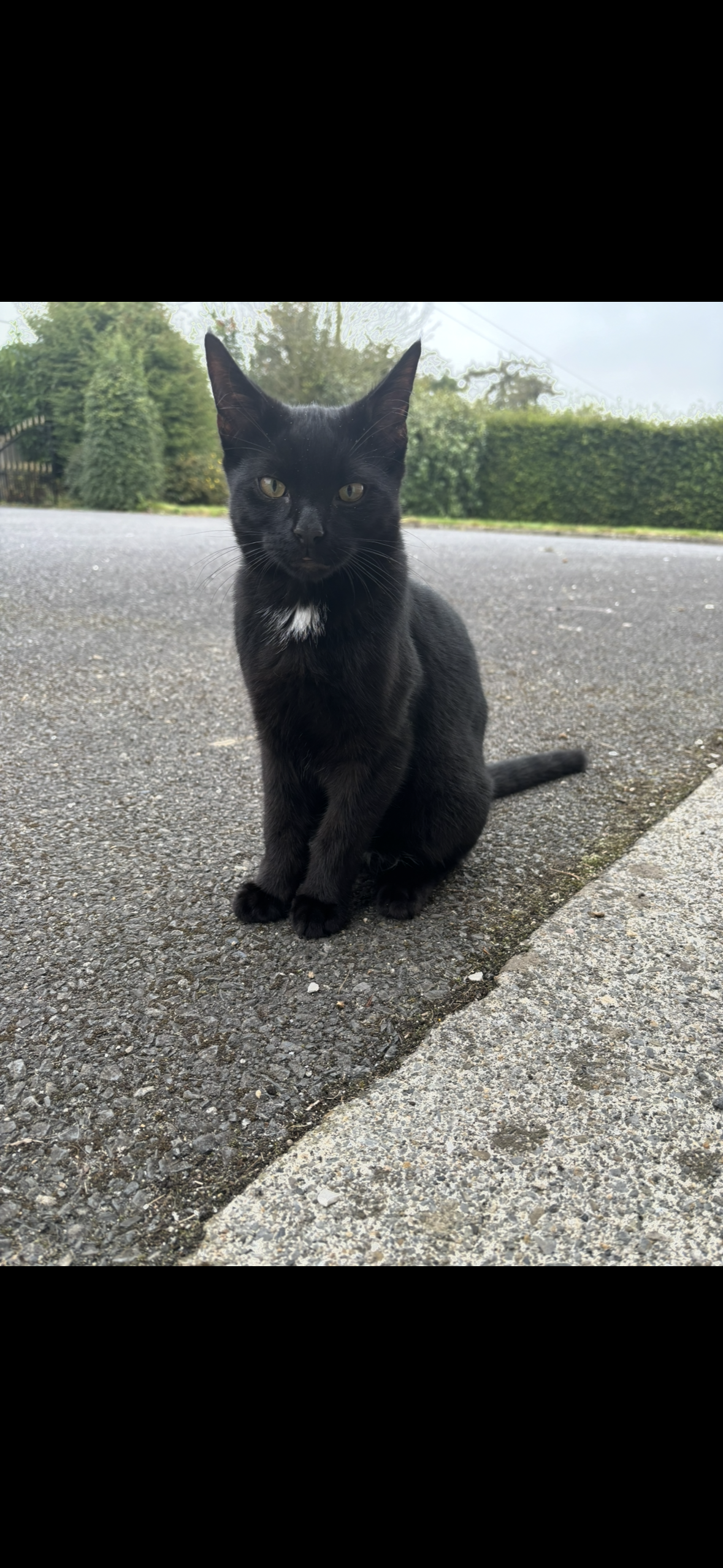Tommy - Borris Road, Graiguenamanagh