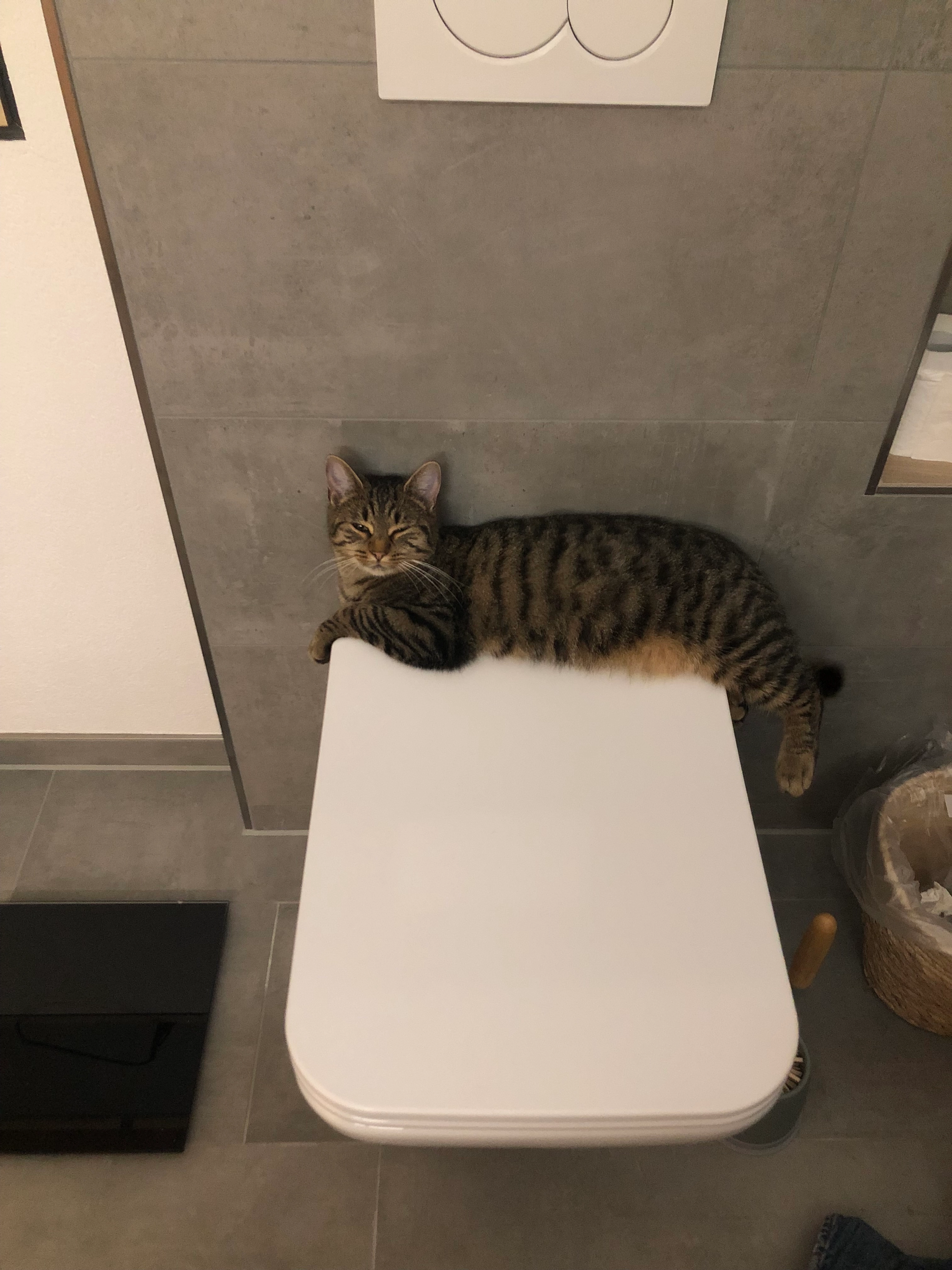 Tequila  - Kirchhalde, Opfenbach