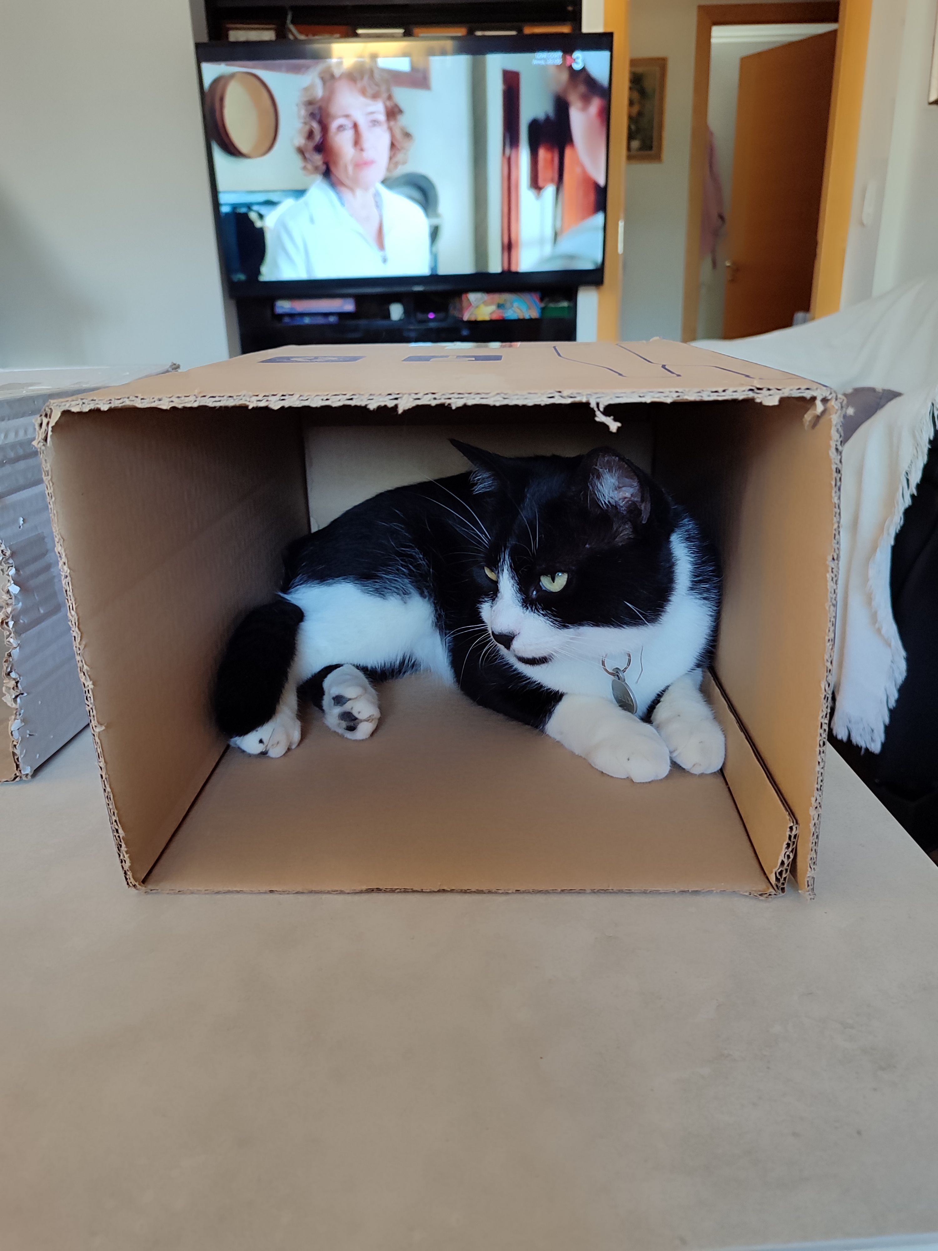 Fèlix  - Carrer Del Sapeli / Calle Sapeli, Alicante