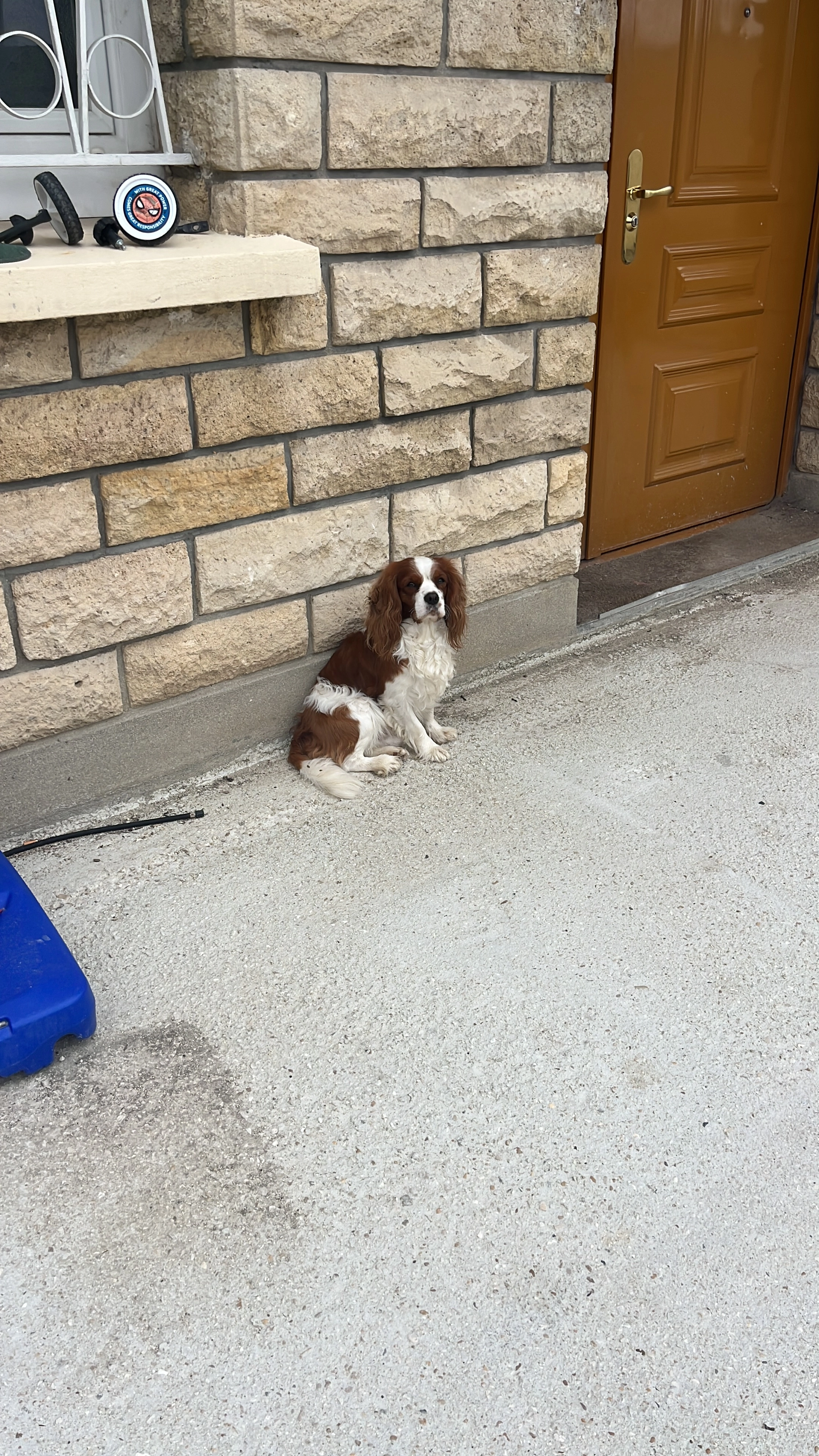 UGO - 15 Rue de l'Orme Sec, L'Haÿ-les-Roses