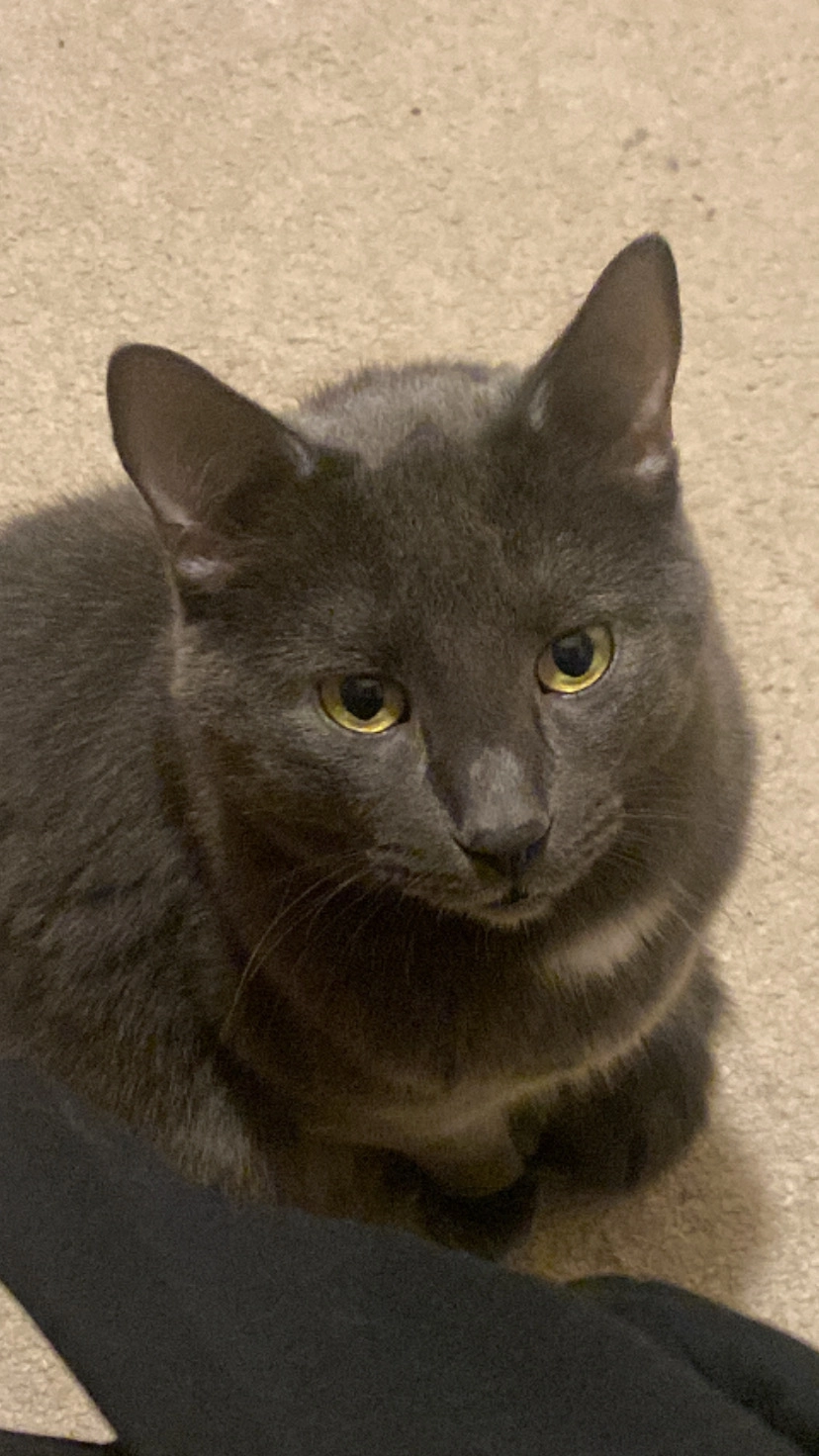 Gary - Nürtinger Straße, Böblingen