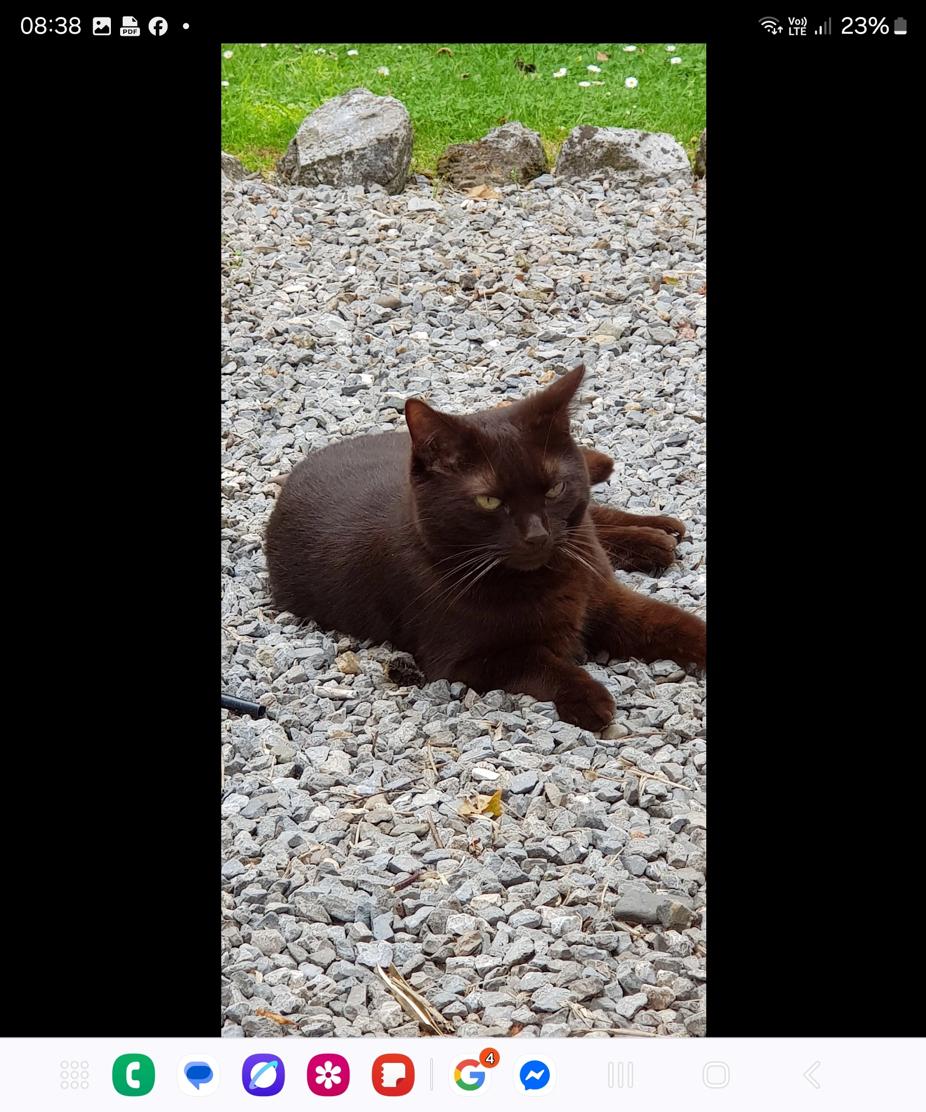 Choco - Fonds des Rivaux, Dinant