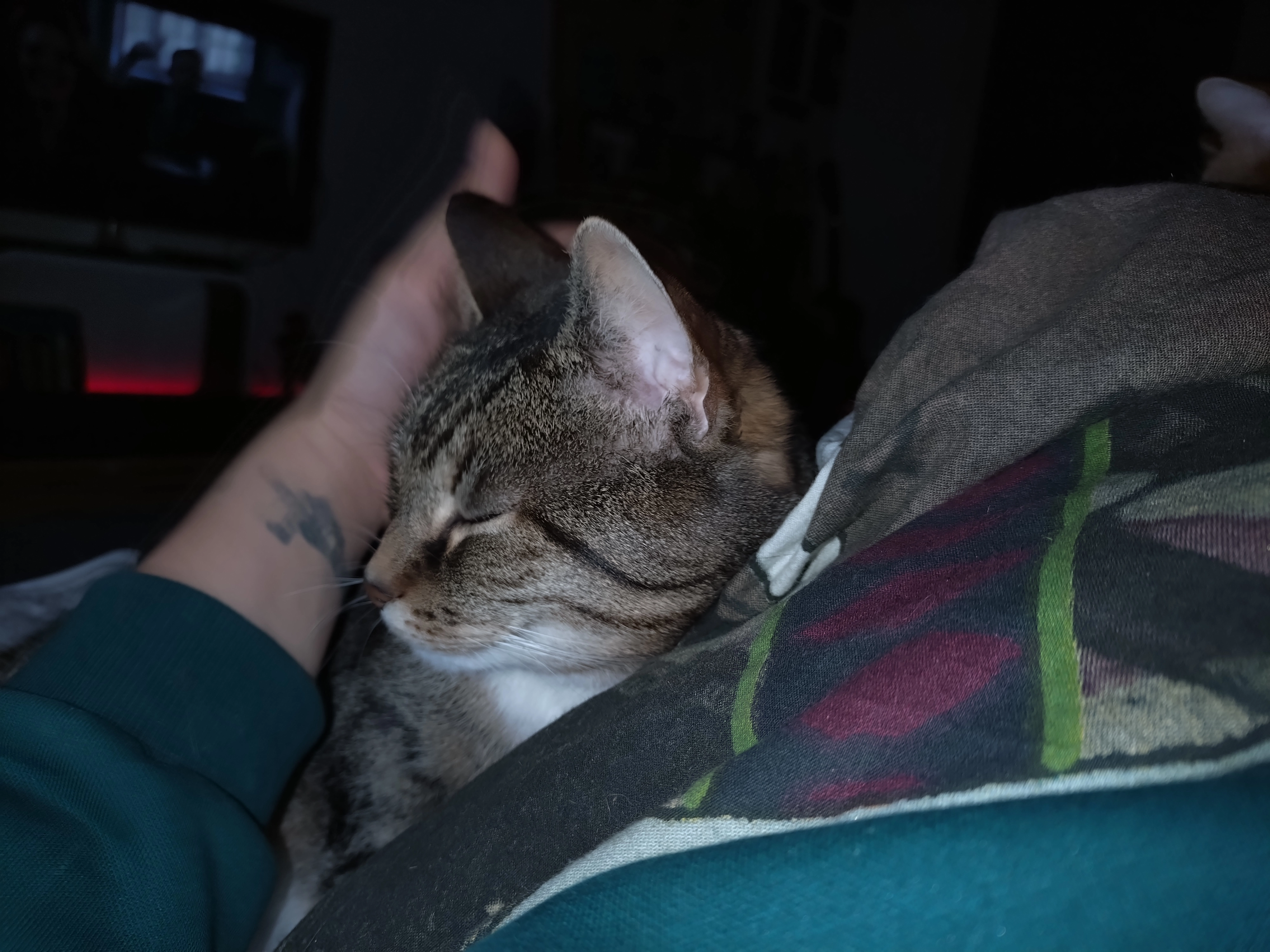 Tequila - Feldstraße, Greifswald