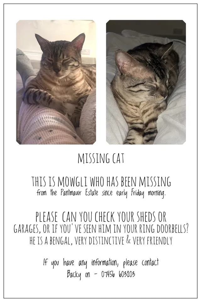 Mowgli  - Dan Y Graig, Cardiff
