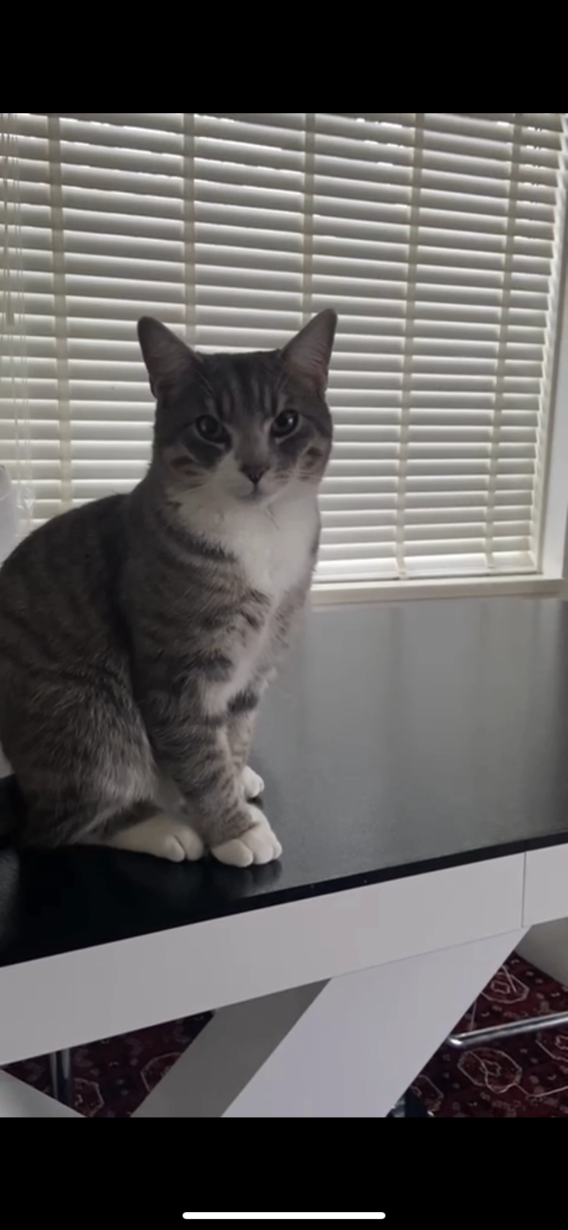 Mochi - Zuivelweg, Doetinchem