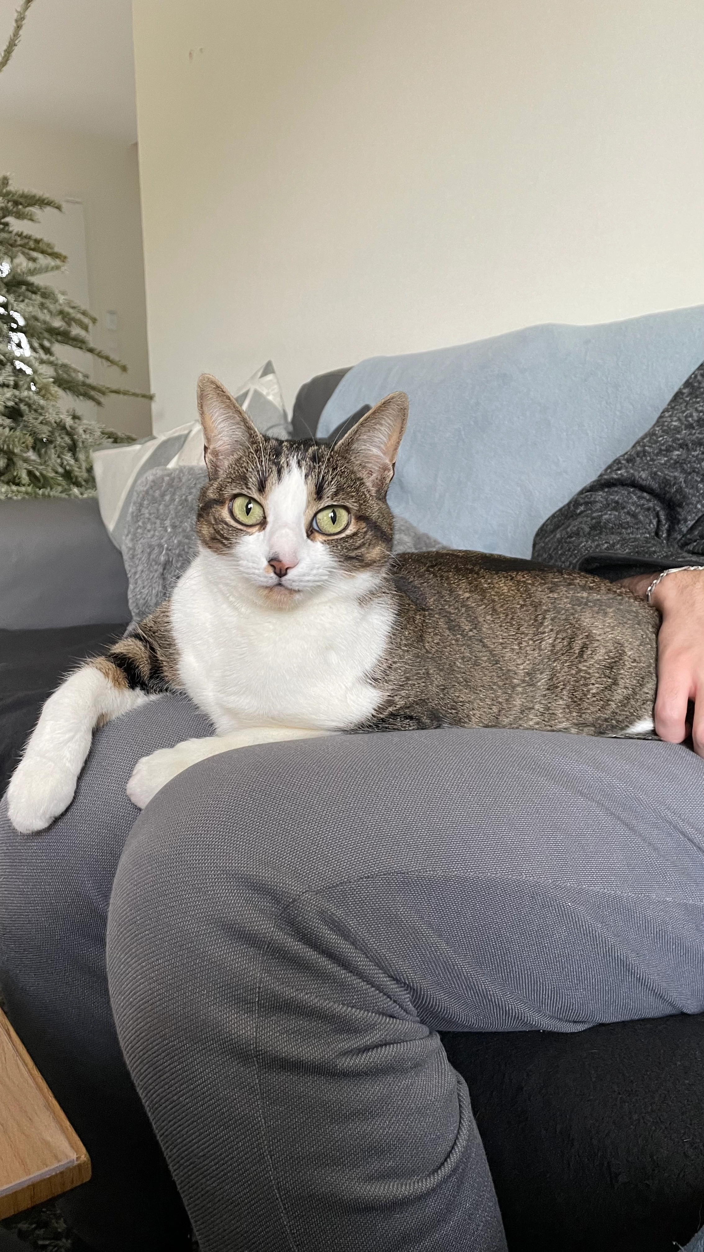 Tena - Rue De La Courtinière, Darvoy