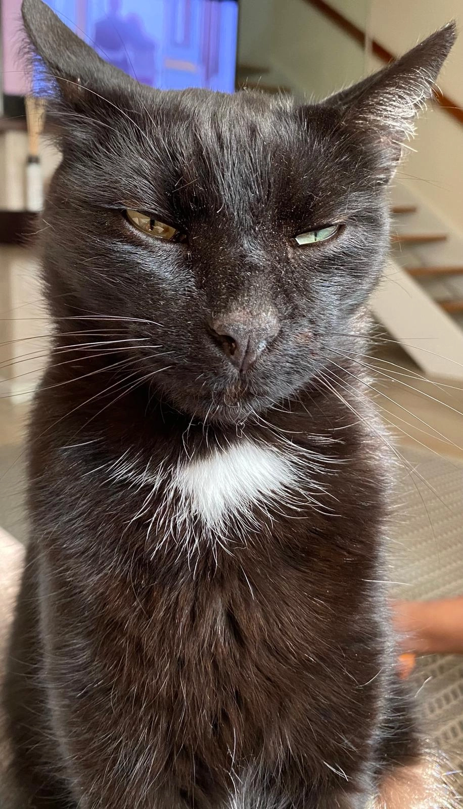 Eddie - Rua Fernando Oliveira Leite, União das Freguesias de São Mamede de Infesta e Senhora da Hora