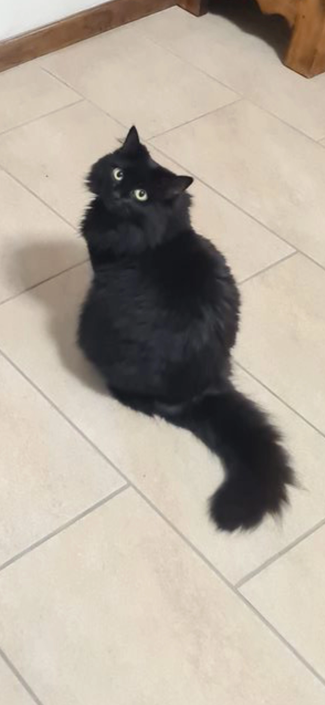 Tyson - Augustusstraße, Königsbrunn