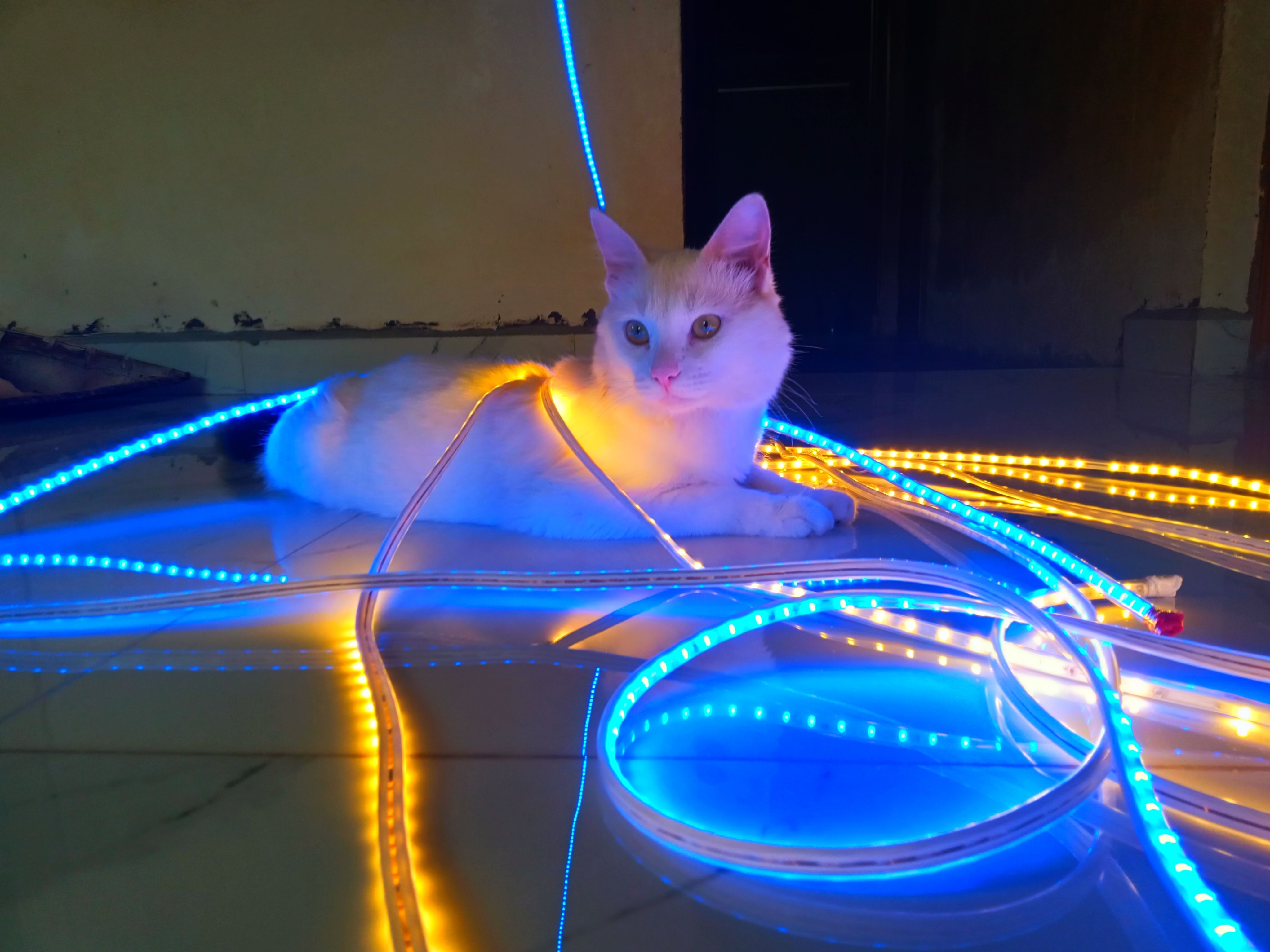 petto - Nh748aa, Sattari taluk