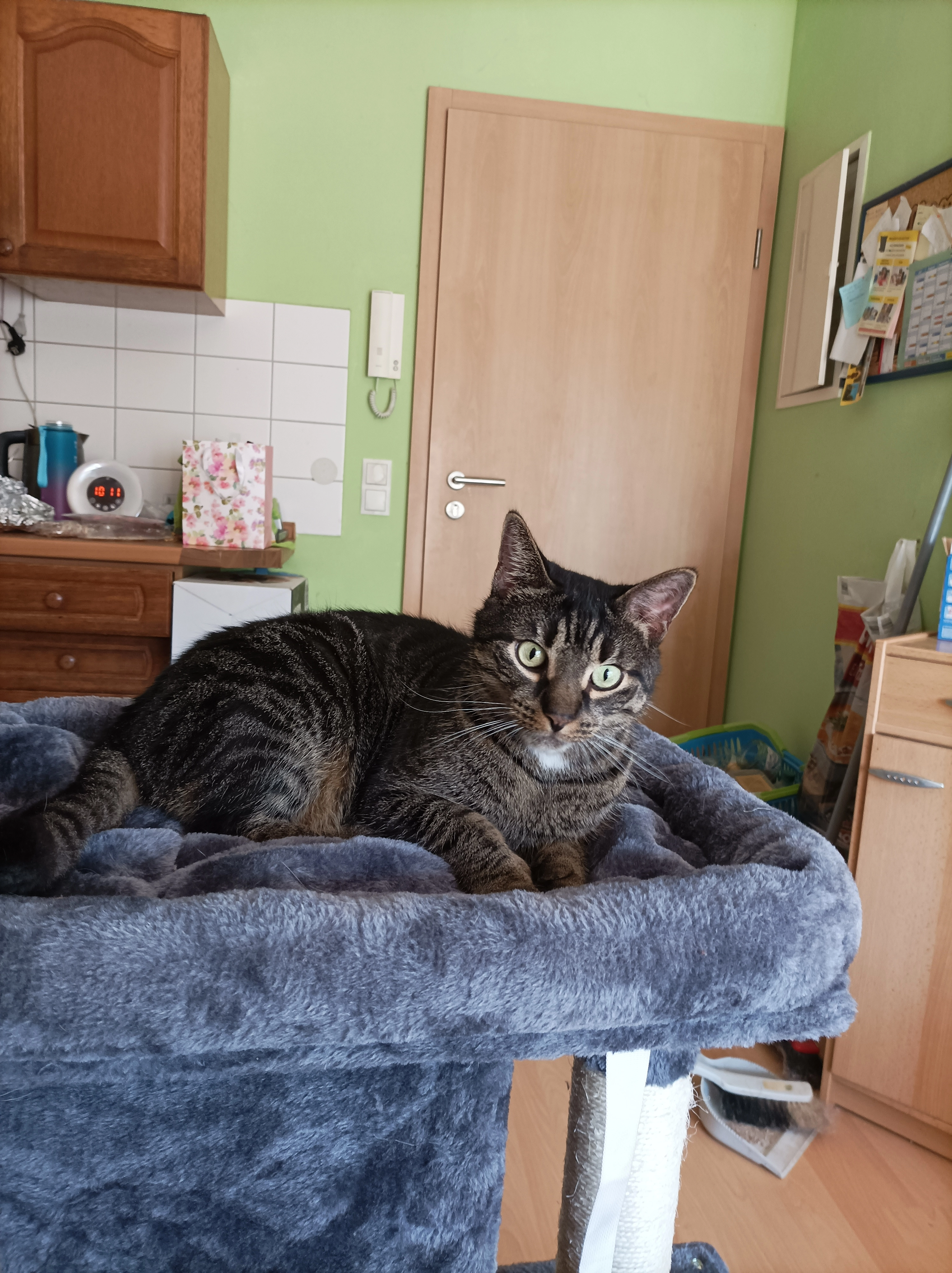 Mucki - Poppenleiten, Burghaslach