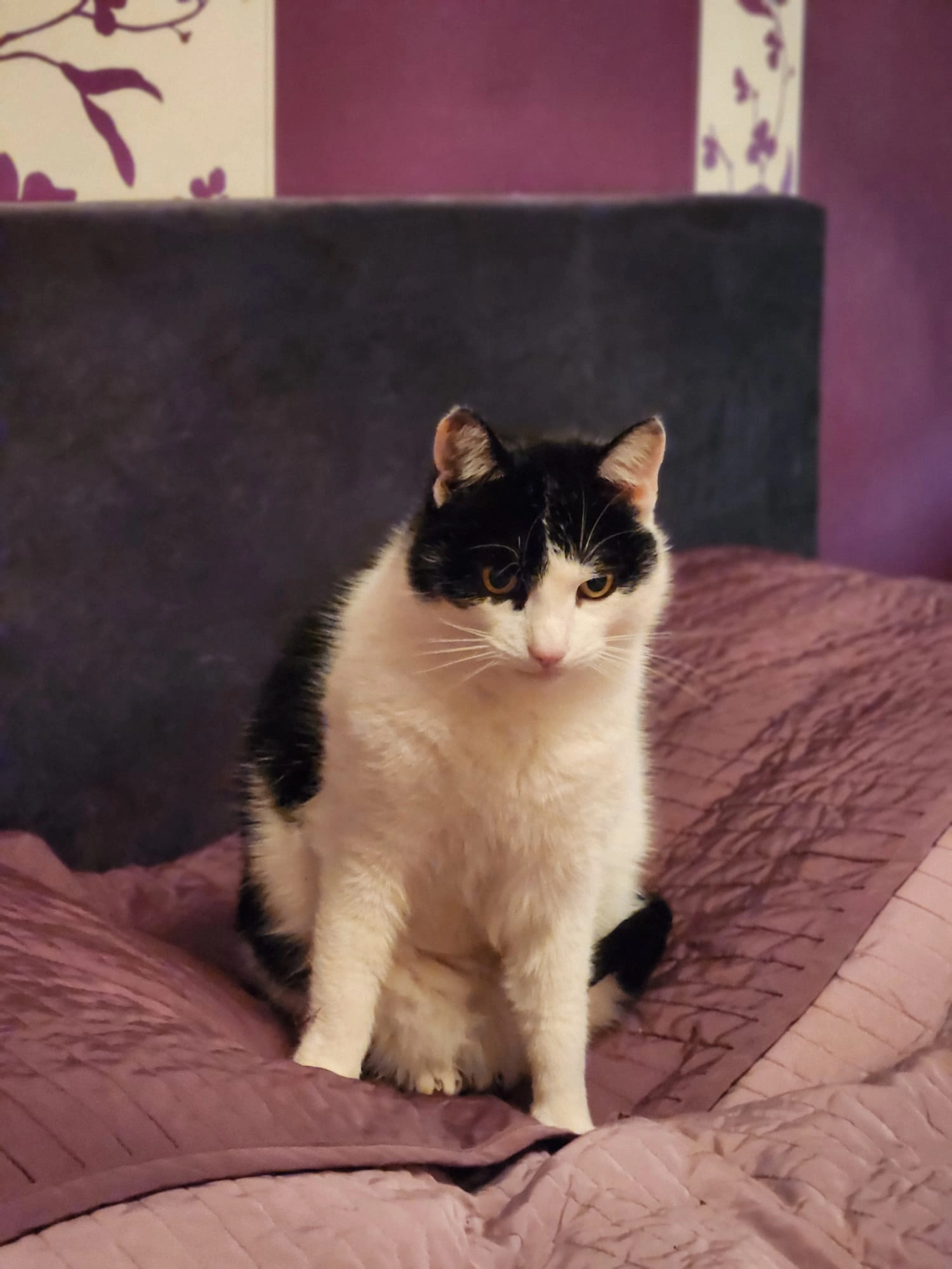 Anton  - Paul-Wagner-Straße, Darmstadt